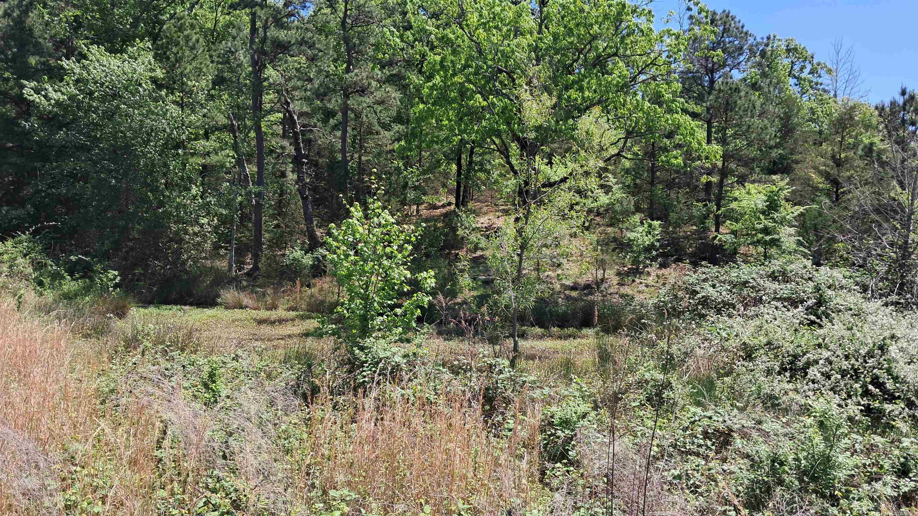 Not in Subdivision - Farm