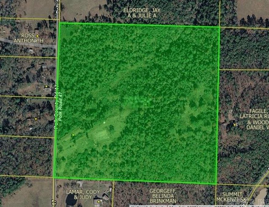 Stunning and serene, forty (+/-) acres of rugged beauty with endless potential--build your vision here! This scenic tract offers a rare blend of privacy, natural character, and build-ready features. Towering hardwoods and pines stretch across the property, with wild blackberry vines adding to its untamed charm. The land rises gently from the road to a stunning plateau at the back—an ideal homesite with west-facing mountain views. A dirt drive is already in place from the gated entrance, leading past a former chicken house (collapsed; salvage/cleanup negotiable) to a cleared build site approximately 125 x 80 feet in size--ready for your shop, cabin, or dream home.  Utilities: electric is already on-site up to the small shed, rural water is available at the road, and a well is present (not currently operational). A pond site sits just beyond the clearing, offering additional potential for improvement.  Whether you’re envisioning a peaceful homestead tucked into the hillside or a private estate positioned on the highest elevation, this property provides the foundation to make it happen.