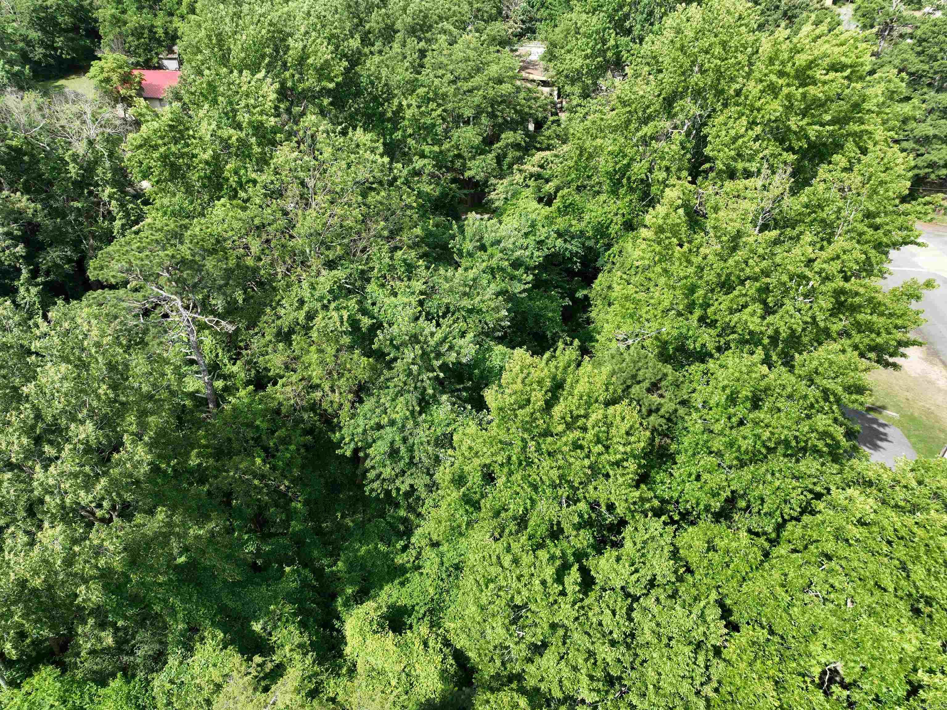 Mena Original - Land