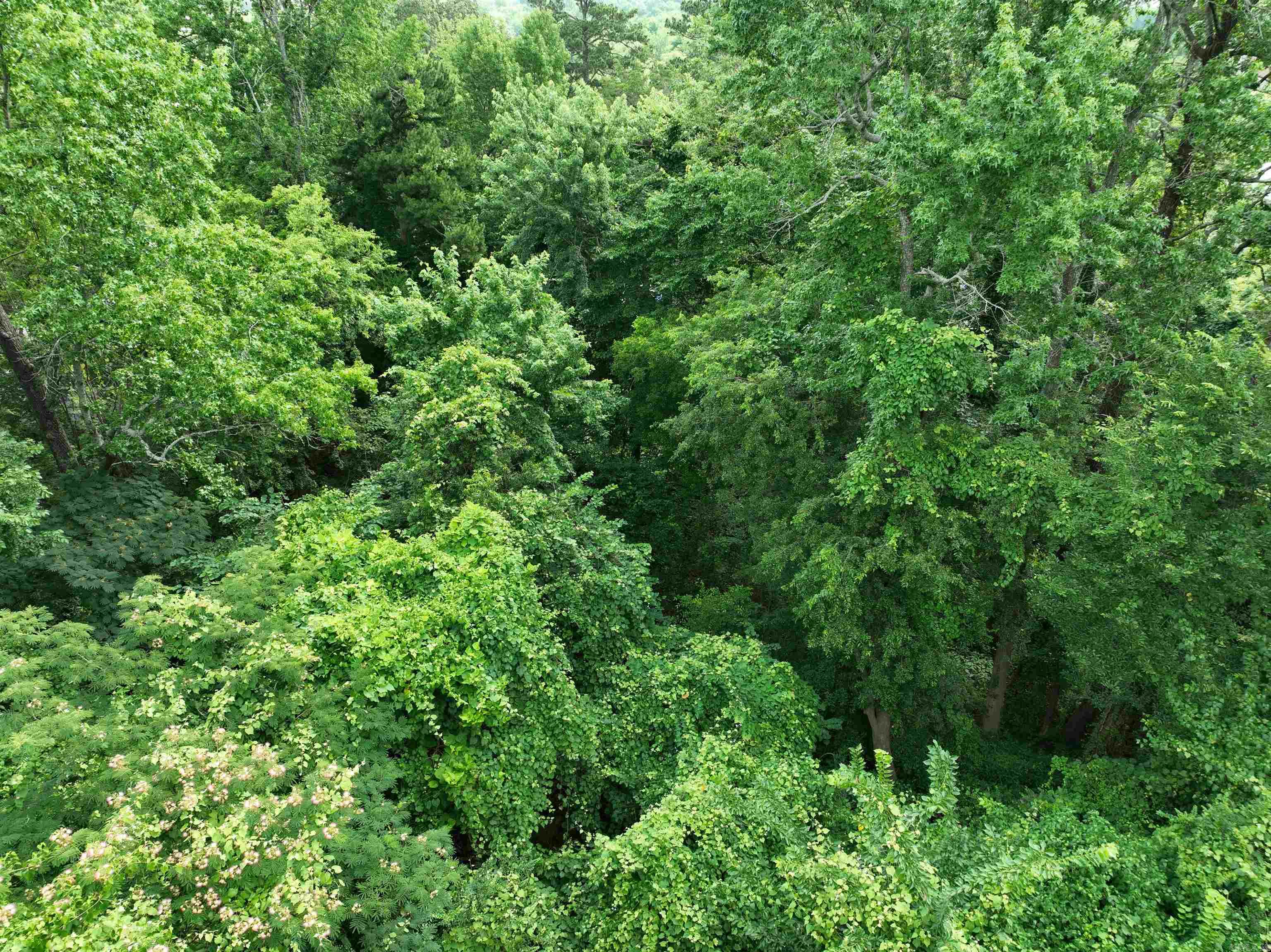 Mena Original - Land