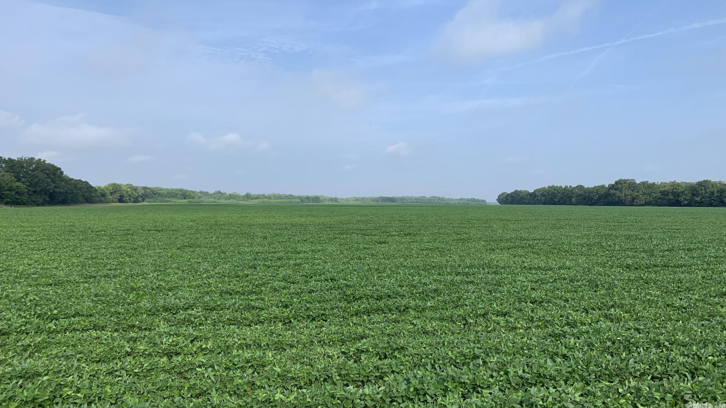 Farmland.
