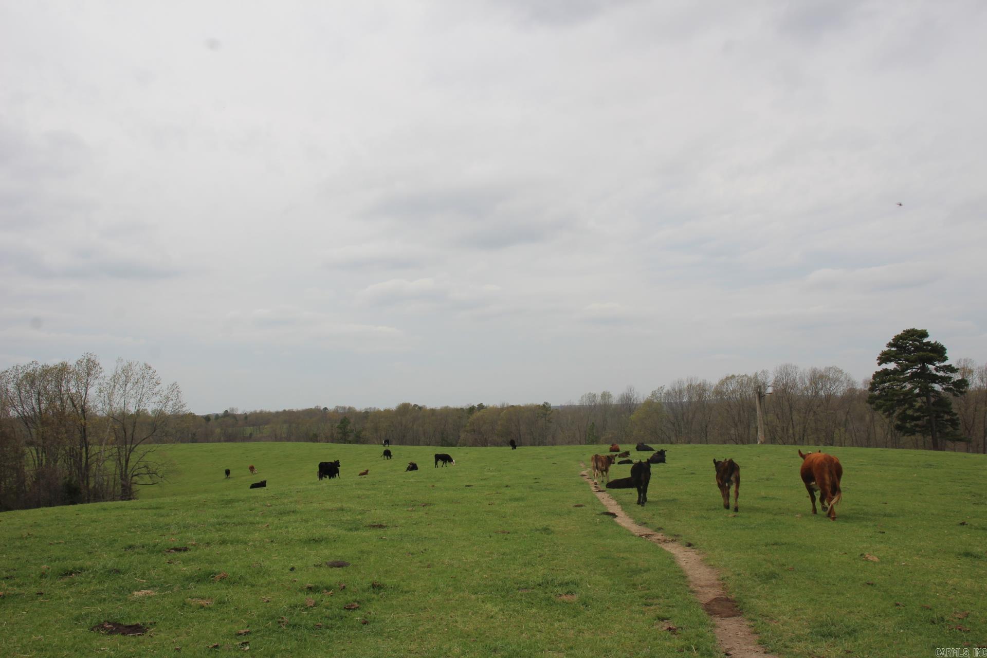 Not in Subdivision - Land