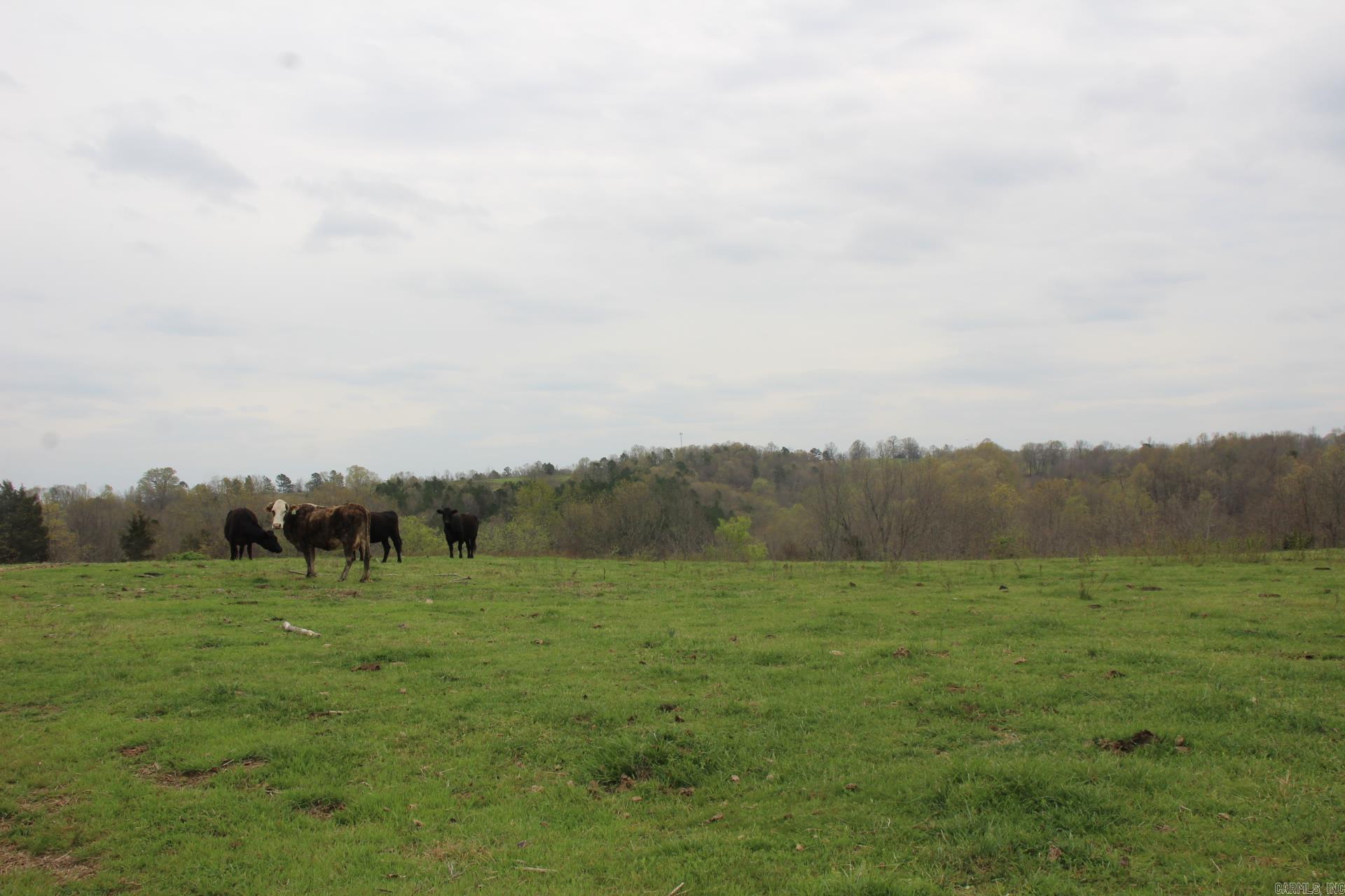 Not in Subdivision - Land