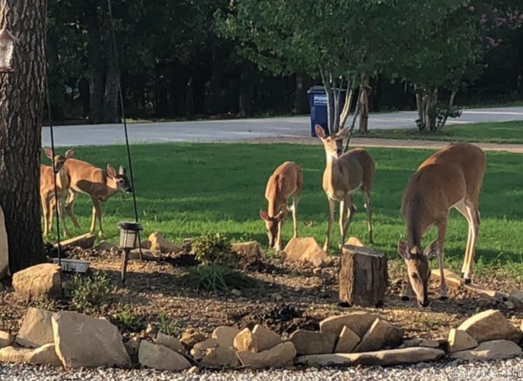 KINGSROW - Residential