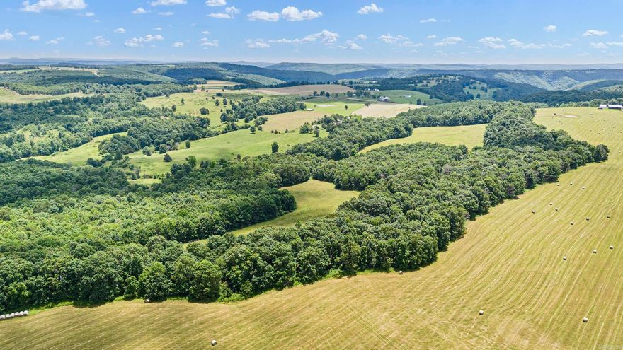 102 acre Prime recreational tract offering a stunning blend of natural features! Enjoy breathtaking mountain views, a spring-fed pond, and a wet weather creek flowing through the northeast corner of the property. This versatile piece features a perfect mix of mature timber, new growth timber, and open hay meadows, ideal for hunting, outdoor adventures, or building your dream getaway. Abundant wildlife roam the area, making it a true sportsman’s paradise. With utilities available at the highway, this tract combines convenience with seclusion and beauty. Don’t miss your chance to own a slice of the Arkansas outdoors!