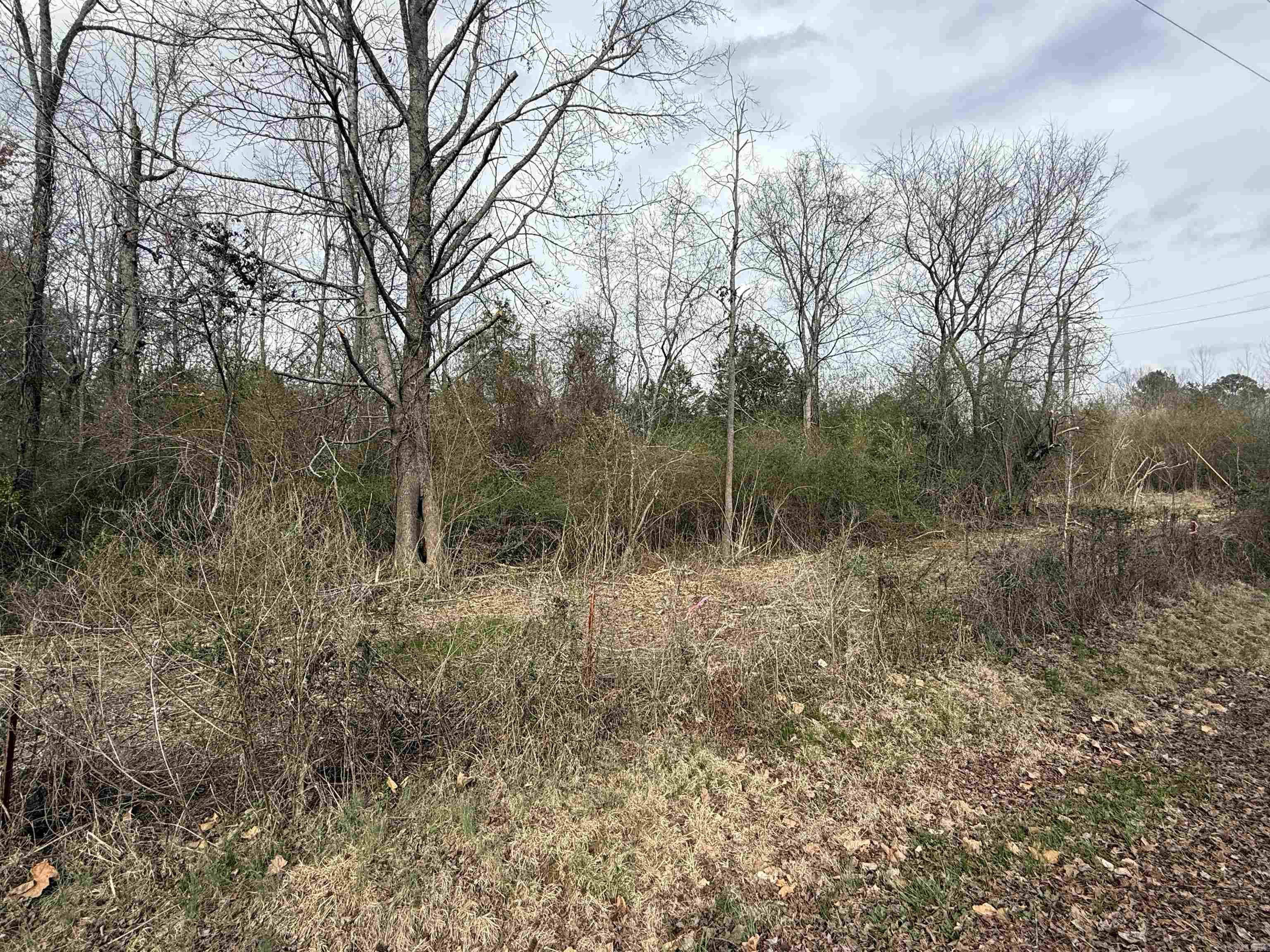 Letona Original - Land