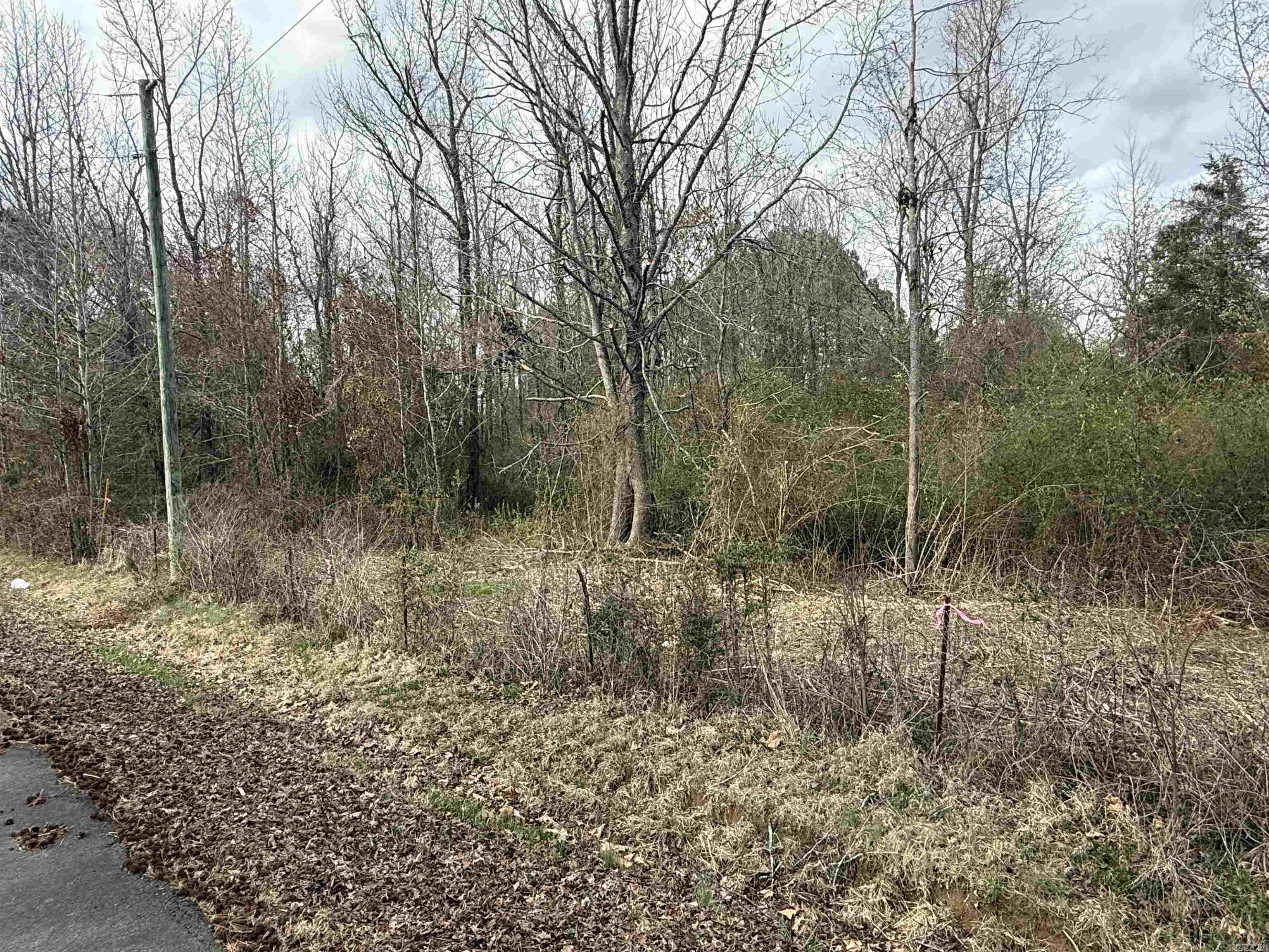 Letona Original - Land