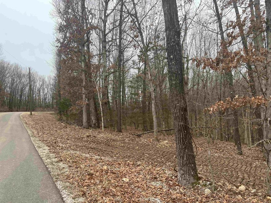 Come check out this 1.87 Acres m/l. The property features nice spot to build with lots of hardwood trees, no property restrictions, paved road, and electric is available. Call today to schedule a showing.