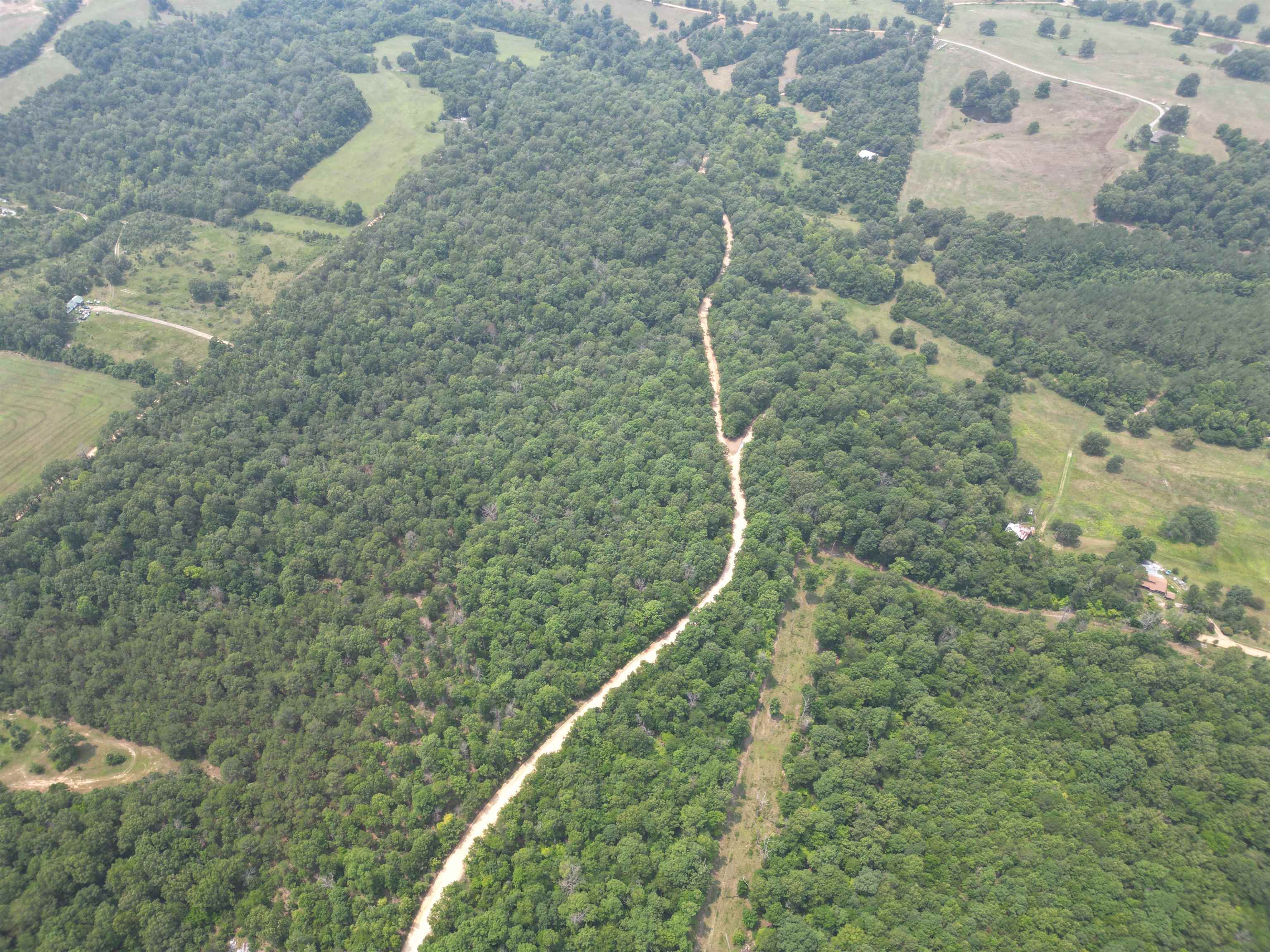 TAYLOR FOSTER BRANCH - Land