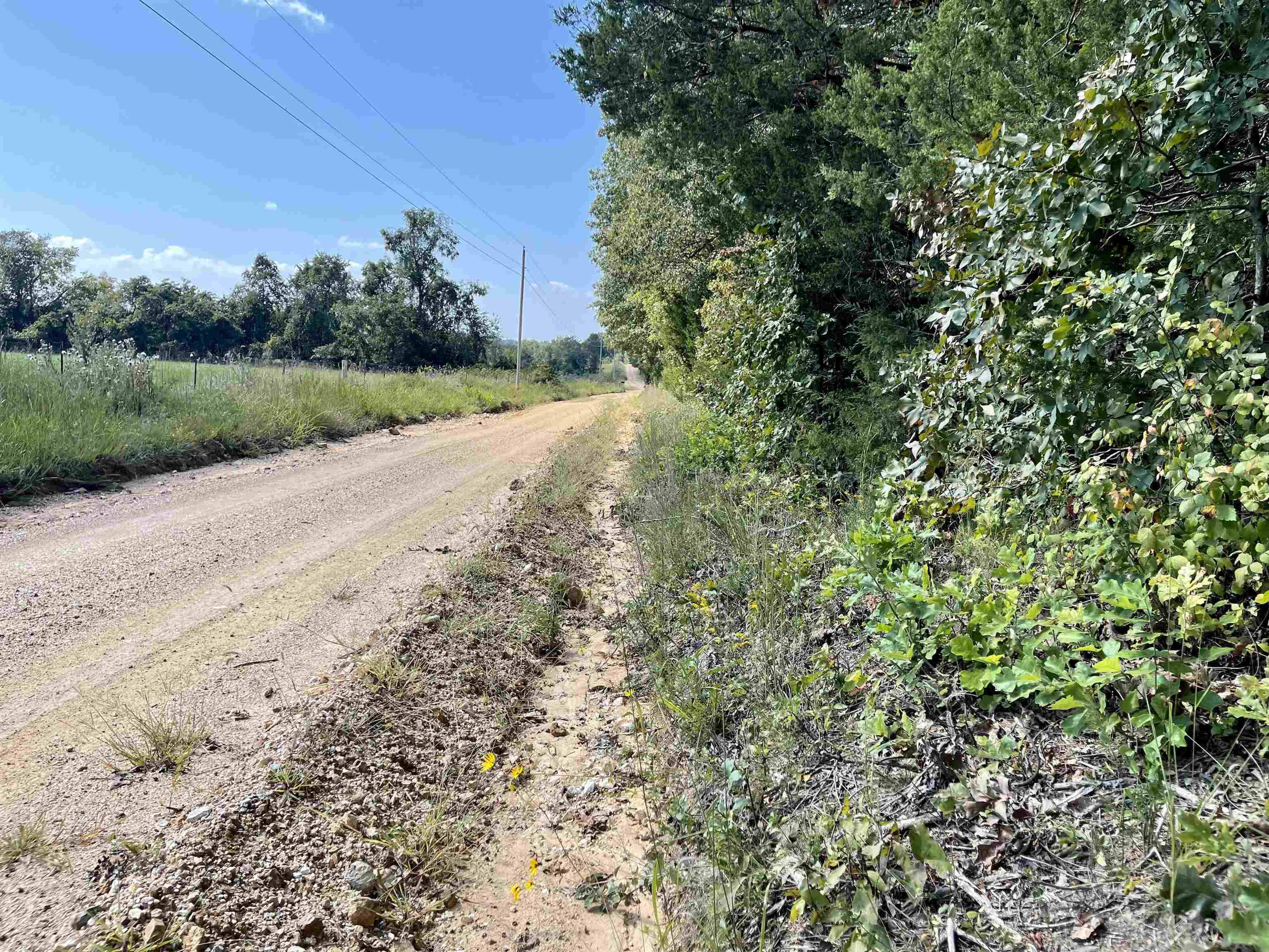 TAYLOR FOSTER BRANCH - Land