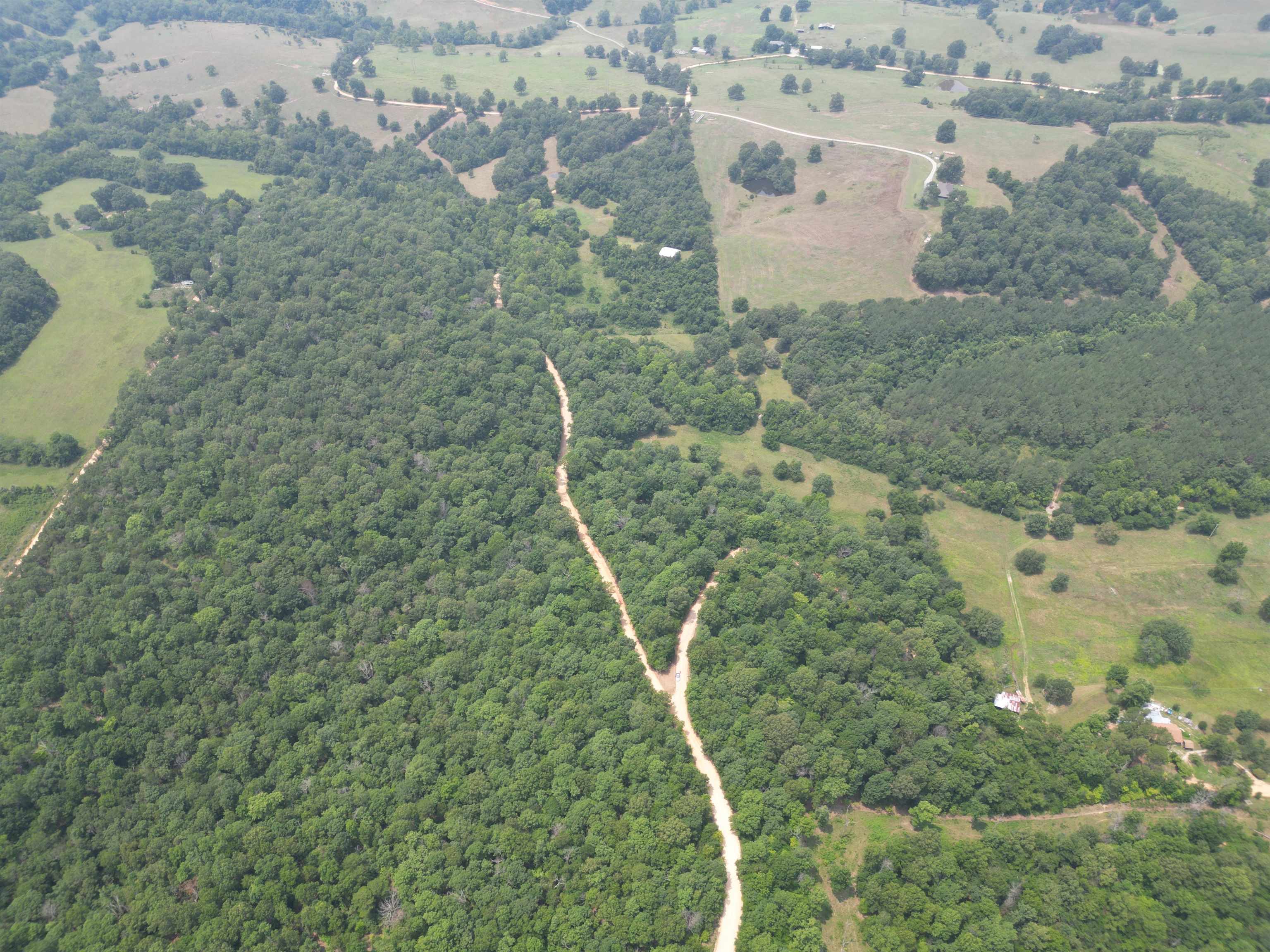 TAYLOR FOSTER BRANCH - Land