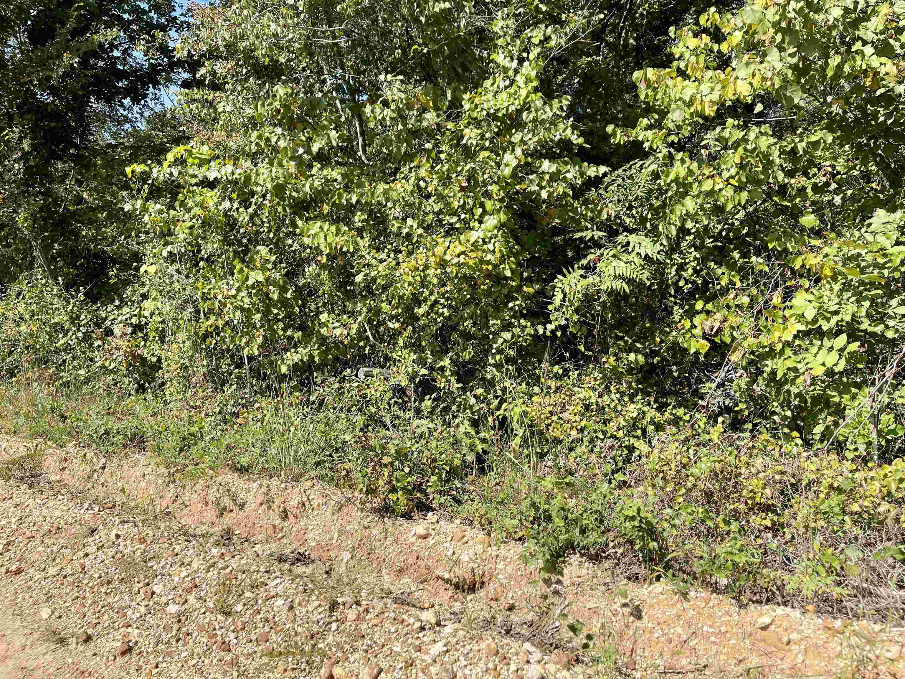 TAYLOR FOSTER BRANCH - Land