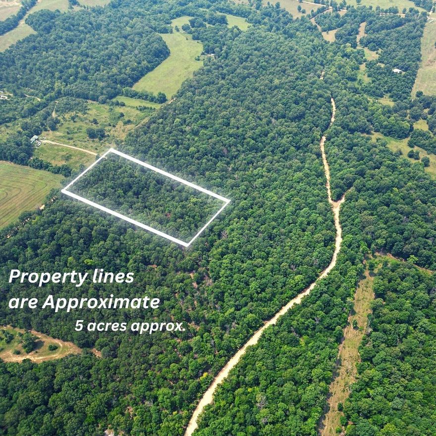 Discover your own piece of paradise on this remarkable 5.05-acres nestled in the picturesque rolling hills of North Arkansas. Located on Deerchase Road, just south of Viola, this property boasts absolute freedom with NO RESTRICTIONS, making it a canvas for your dreams. Mntained county road and electricity near  The land is predominantly wooded, featuring an array of hardwood trees and  cedar groves. This serene landscape offers endless opportunities for outdoor enthusiasts. Whether you desire to build your dream home or seek a weekend retreat, this acreage provides the perfect setting for your vision.  If you're an avid hunter, the property is a haven for deer, squirrel, turkey, and small game. Park your RV and enjoy the tranquil surroundings, or embark on short jaunts to Norfork Lake for fishing and swimming, or the charming town of Mountain Home for shopping.  For those with grander ambitions, an additional 14.23 acres are available, connecting seamlessly to this parcel, providing a substantial 19.28-acre oasis.  Don't miss out on this unique opportunity to own a slice of the Ozarks, where natural beauty and adventure await. Contact us today to make this incredible property yours