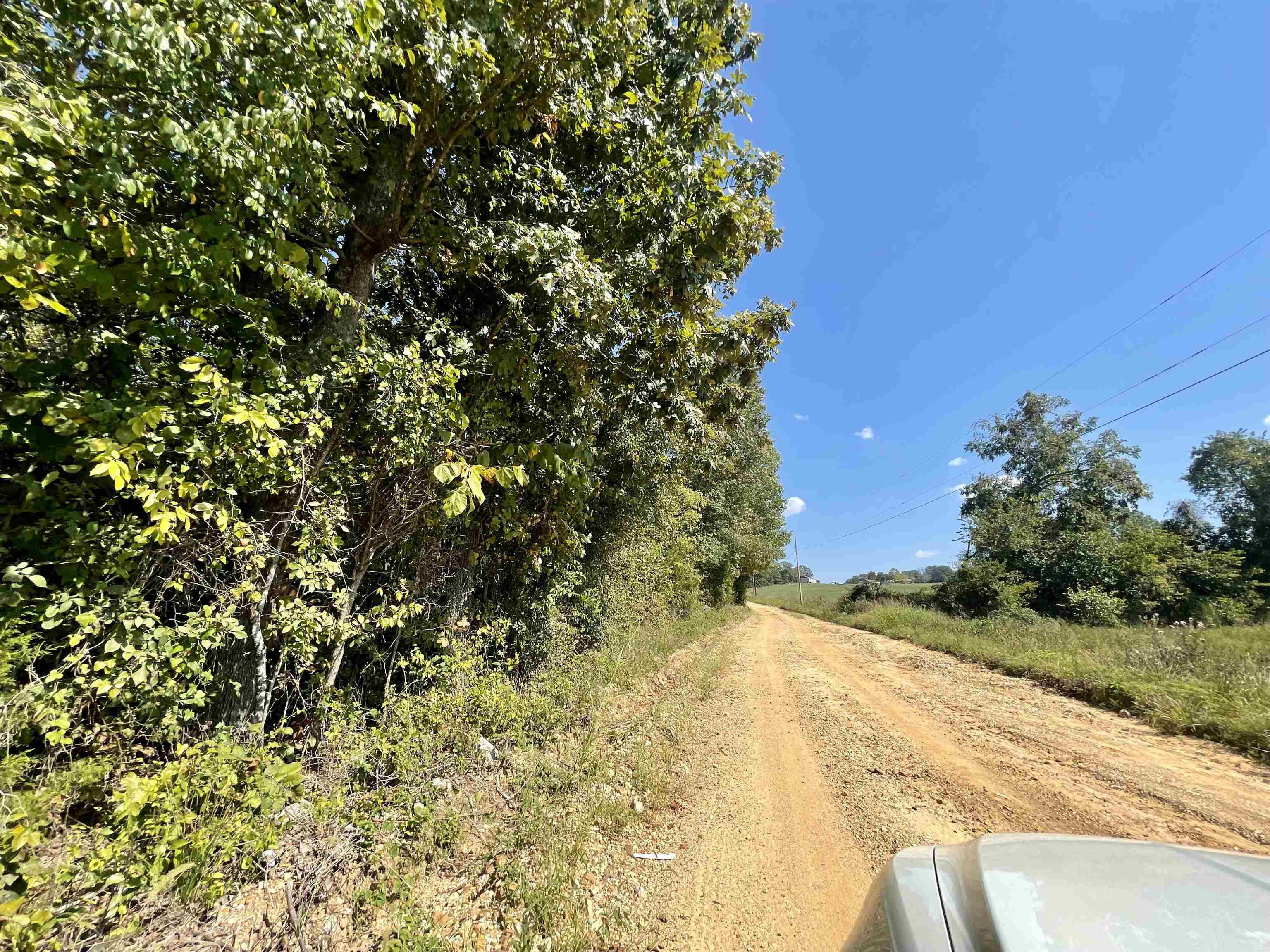 TAYLOR FOSTER BRANCH - Land