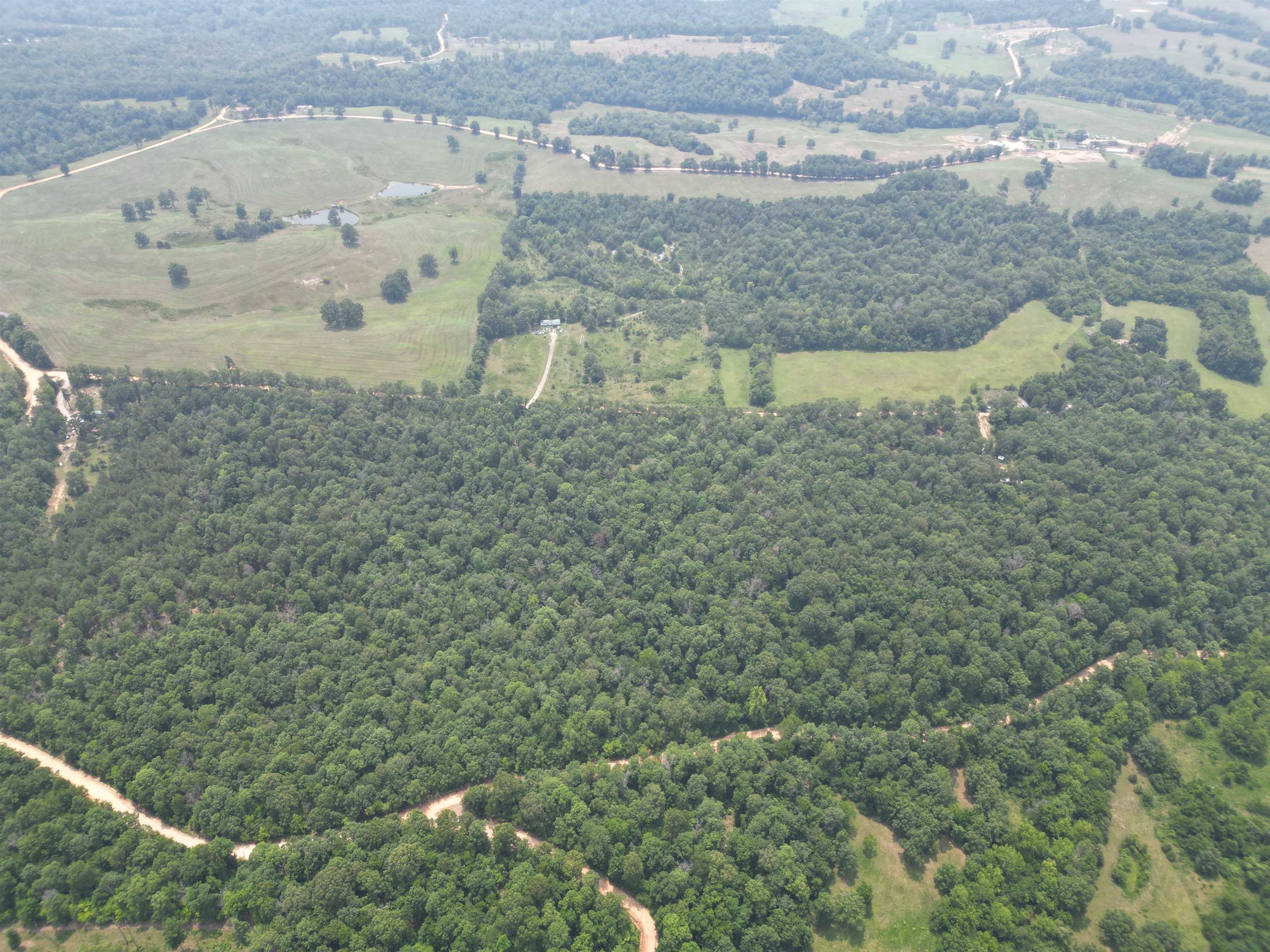 TAYLOR FOSTER BRANCH - Land