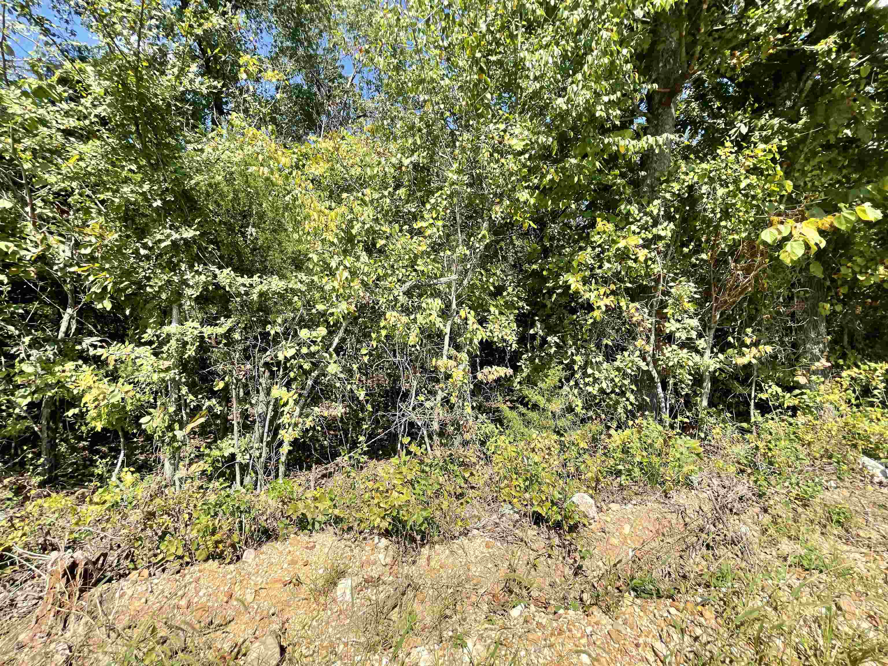 TAYLOR FOSTER BRANCH - Land