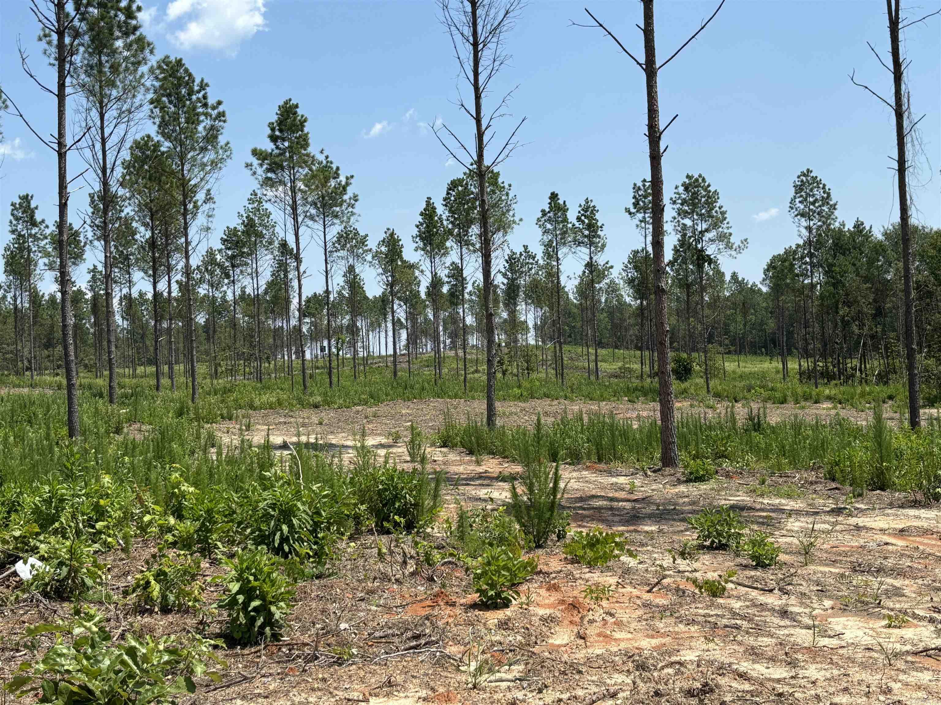 Six lots-pick your favorite!*has a house pad with the stumps already cleared*pretty tract of land past the Sheridan Golf Club*under the MLS documents, you will find a drawing of the land and the restrictions*this is tract "E" on drawing*prelim perc already available* Directions: Take Grant 43 (aka Country Club Road) and go about 1.5 miles. Property is on the left.
