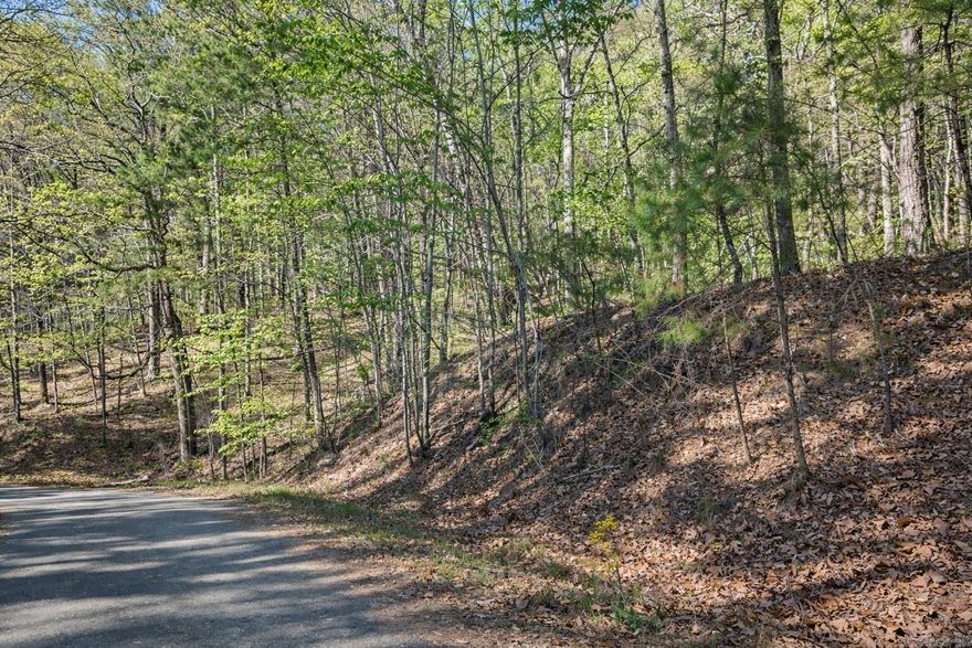 Wooded Lot in Beautiful Hot Springs Village Discover the perfect opportunity to build your dream home on this .46-acre wooded lot located in the desirable Hot Springs Village community. Surrounded by natural beauty and mature trees, this property offers a peaceful setting with plenty of privacy while still being close to the many amenities the Village has to offer. Hot Springs Village is known for its golf courses, lakes, walking trails, and recreational facilities, making it an ideal location for those seeking both relaxation and an active lifestyle. Whether you’re looking to build now or invest for the future, this wooded lot provides the perfect canvas for your vision in one of Arkansas’ most sought-after communities. Come experience the beauty and tranquility of Hot Springs Village.