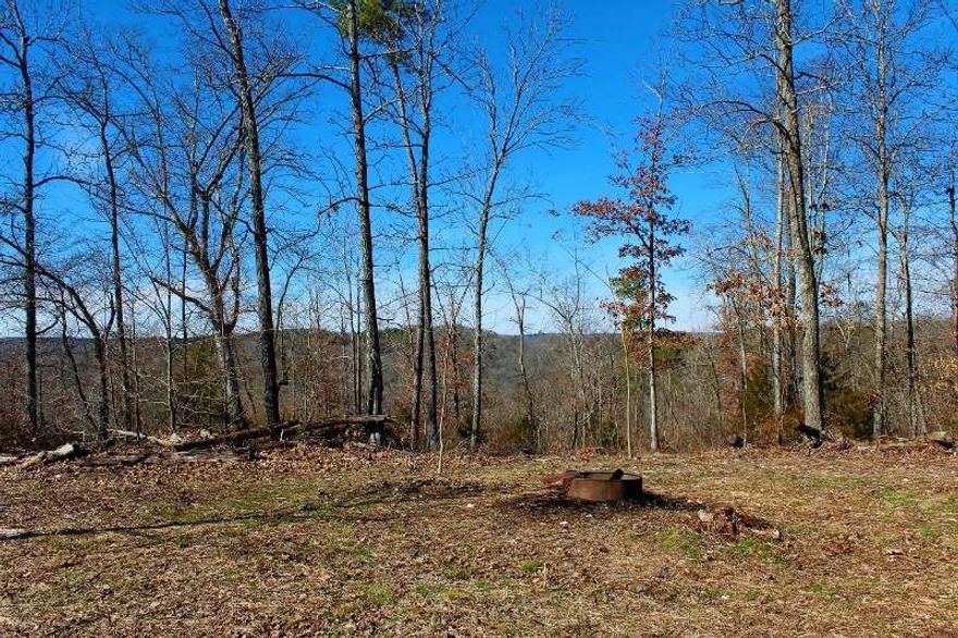 No. 01798  LAND JOINING OZARK NATIONAL FOREST  Sportsmen and Outdoor enthusiast!! Take a look at this 41.40 acre parcel.  All wooded with the exception of a small cleared area where the small cabin is built.  No water or power at this time.  But a great ridge top that provides amazing views and a perfect place to camp.  Great access from a paved road. North property line borders National Forest so  adventures can continue even further than the quarter of a mile square the property itself provides. $82,000