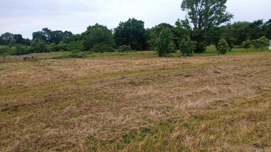 This one acre piece of property sits in the foothills of the Ouachita Mountains and close to 3 lakes beautiful lakes.  It is 5 miles from the new hospital, it is next door to the fire station, city park, and about 1/4 mile to the E-Z mart plus the Dollar General. The property is 6 miles from DeQueen and Gillham lake, 12 miles to Dierks lake.  Also this property is not far from popular Hochatown, Ok., without all the traffic! It would make a great place to build, put cabins or even a business since Hwy 71 is near.  Enjoy the lightening bugs plus a rabbit or two even a couple of deer!  This property was used as a very big garden in years gone by.