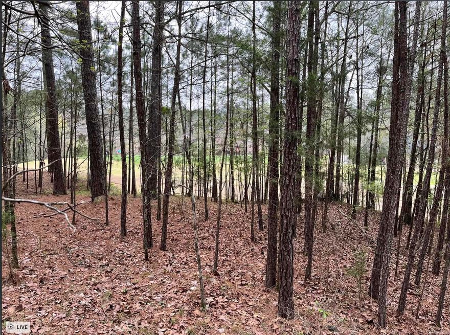 Granada Golf Course Frontage on hole 17.