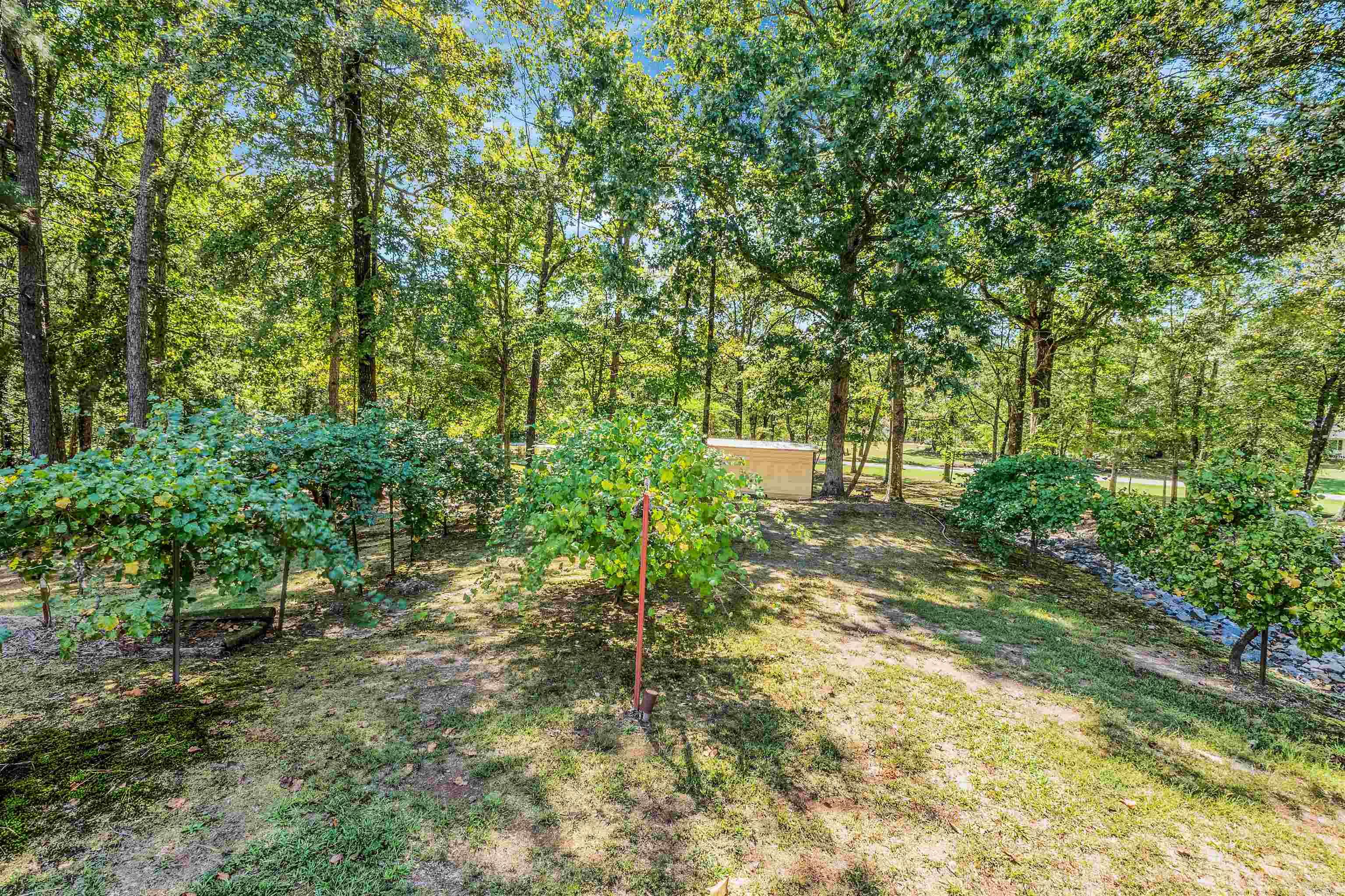 OAK FOREST - Residential