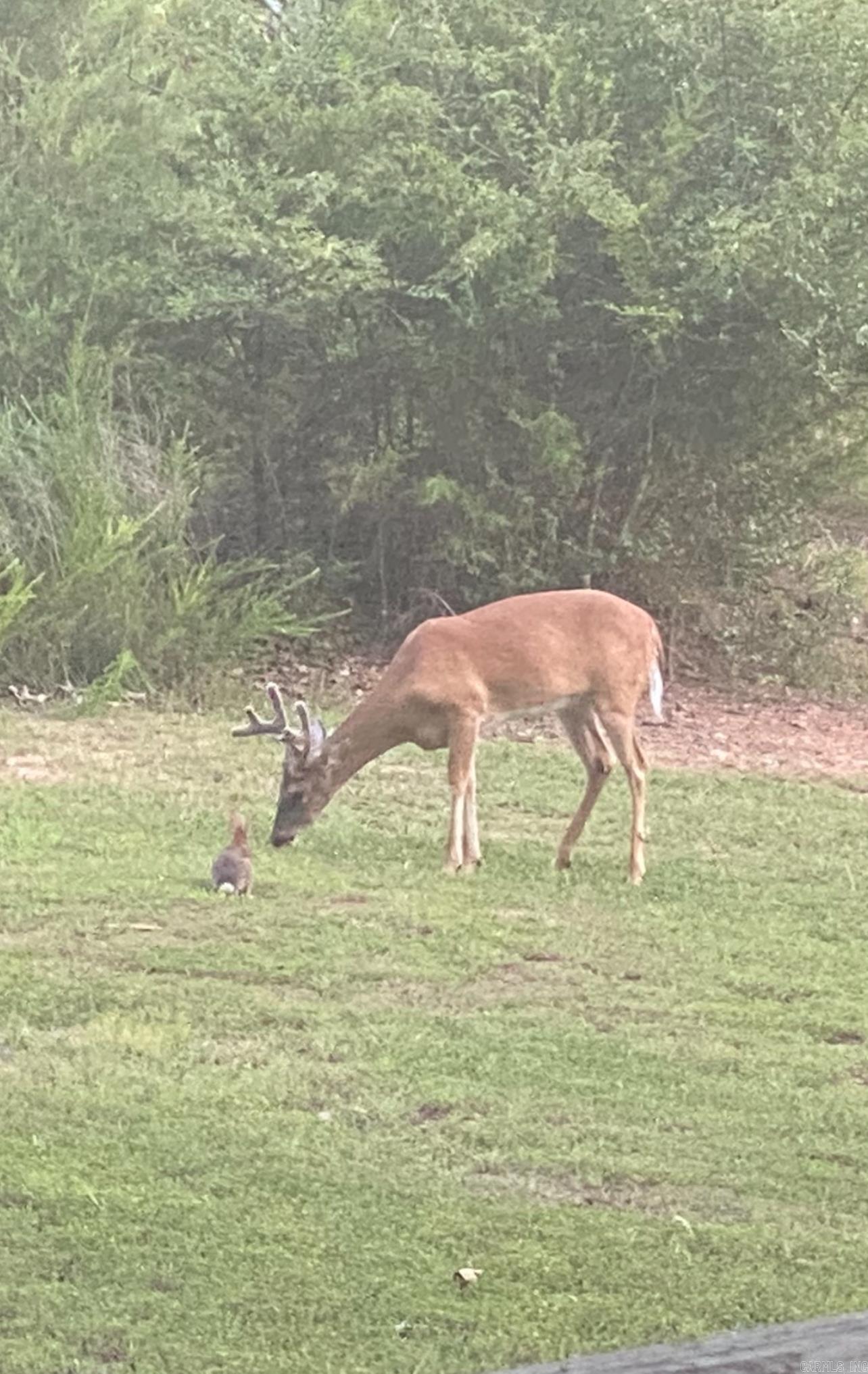 PINE HILL ESTATES - Residential
