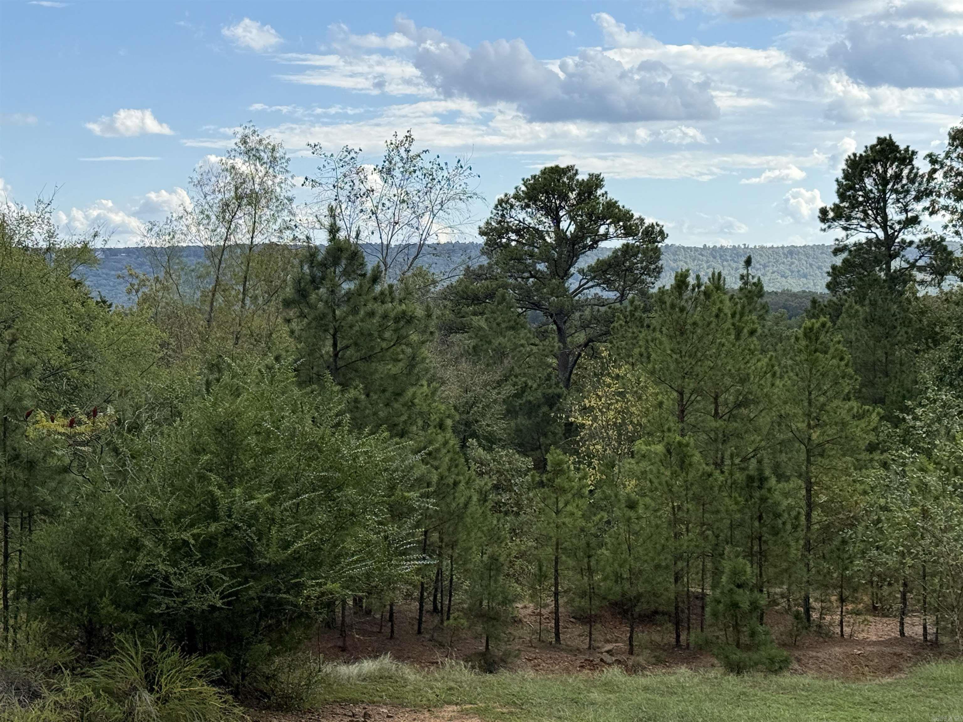 PINE HILL ESTATES - Residential