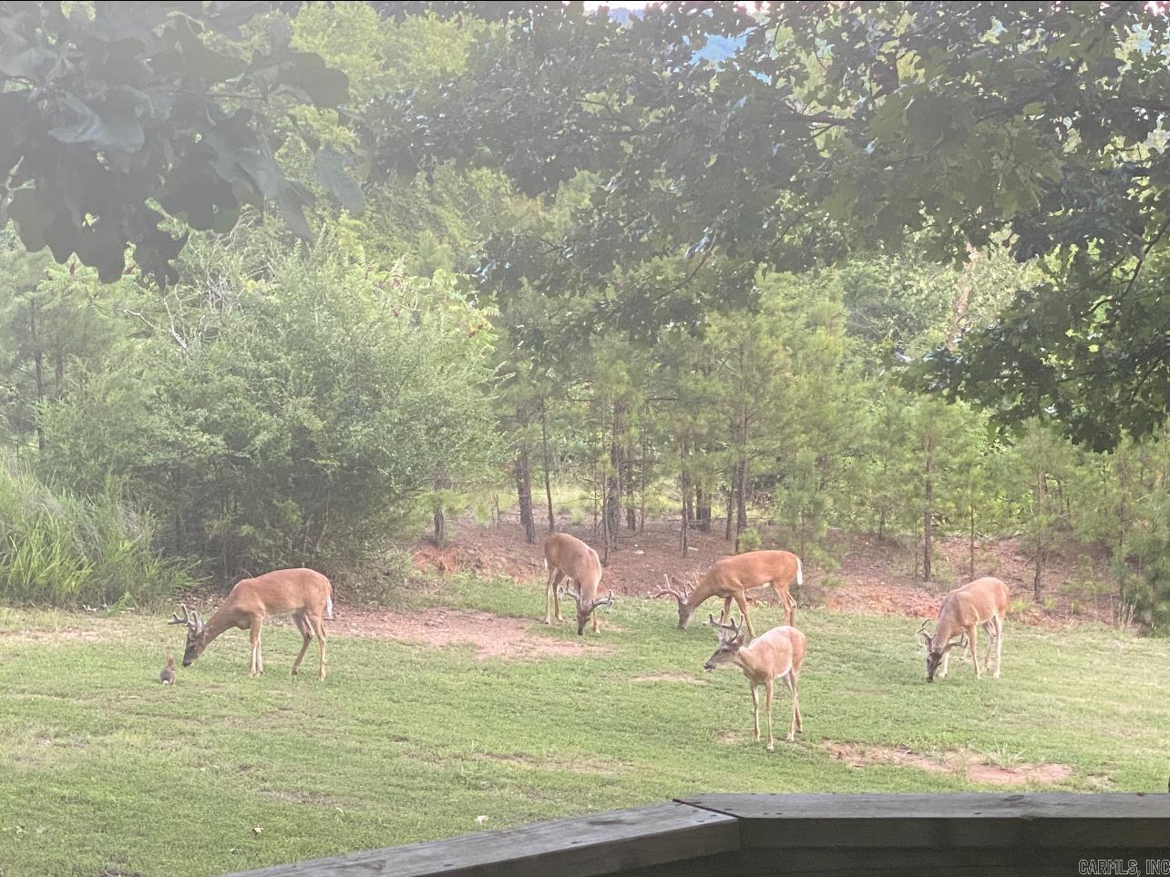 PINE HILL ESTATES - Residential