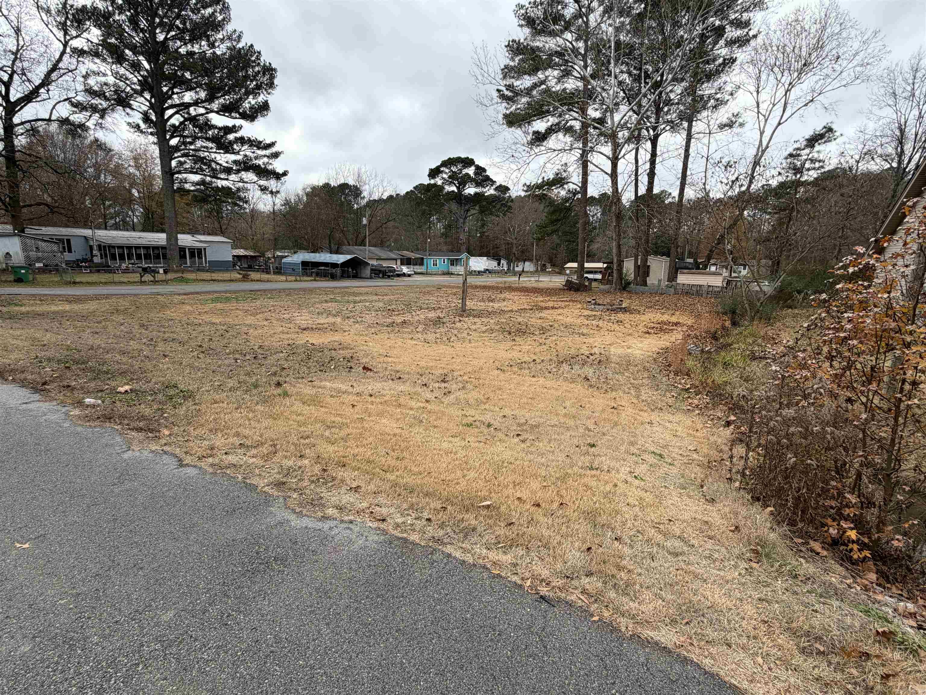 Piney Woods #2 - Land