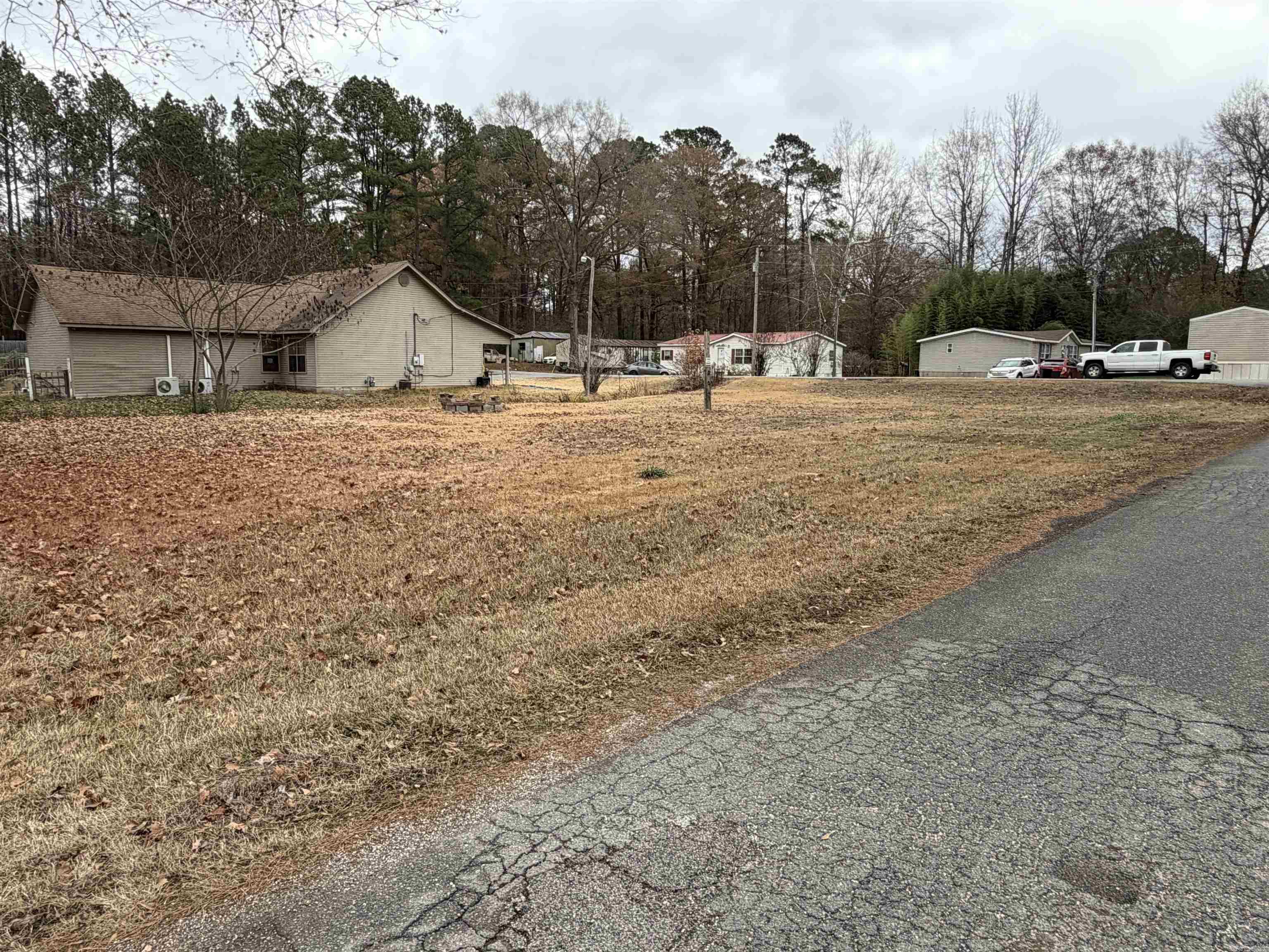 Piney Woods #2 - Land