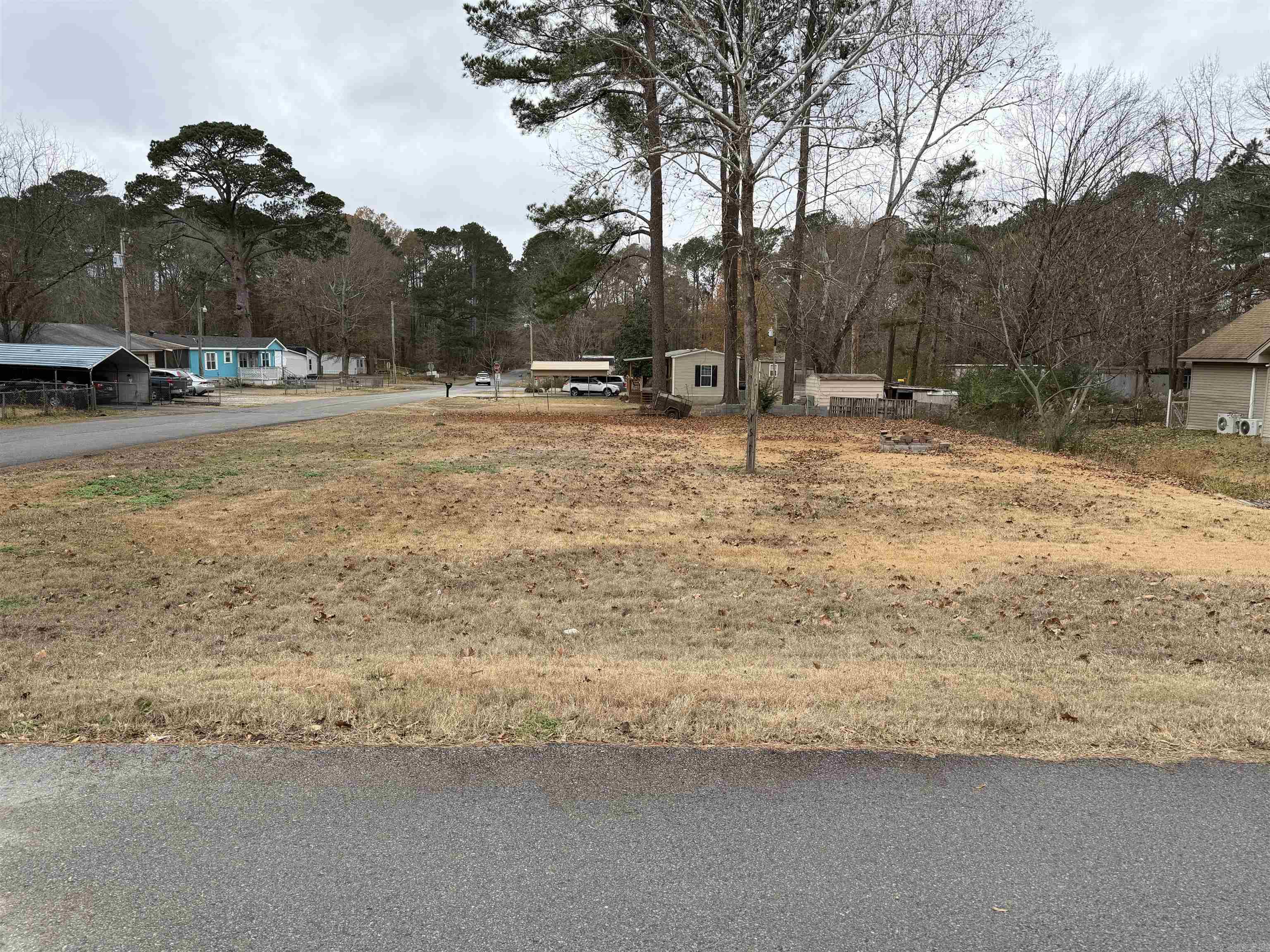 Piney Woods #2 - Land