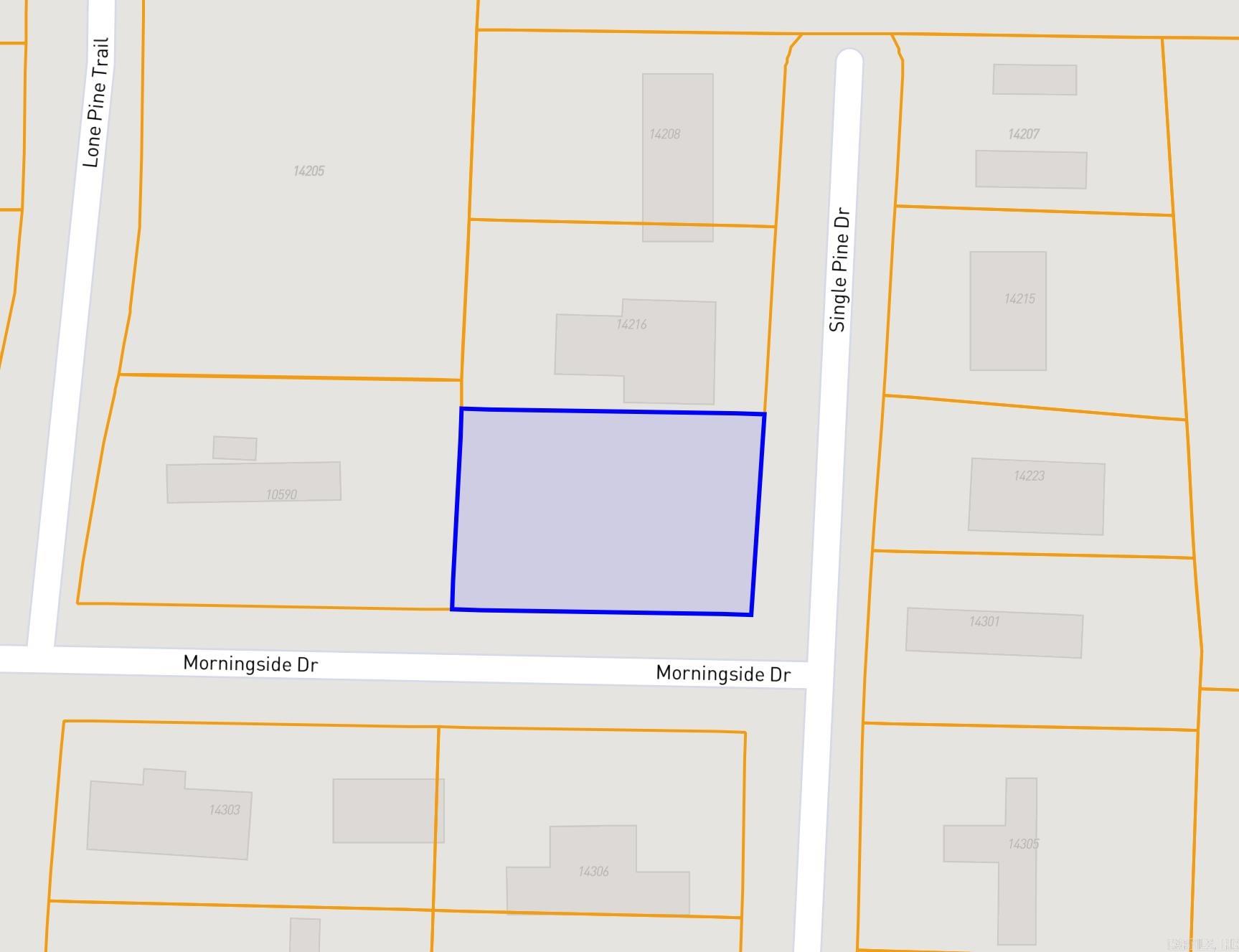 Piney Woods #2 - Land