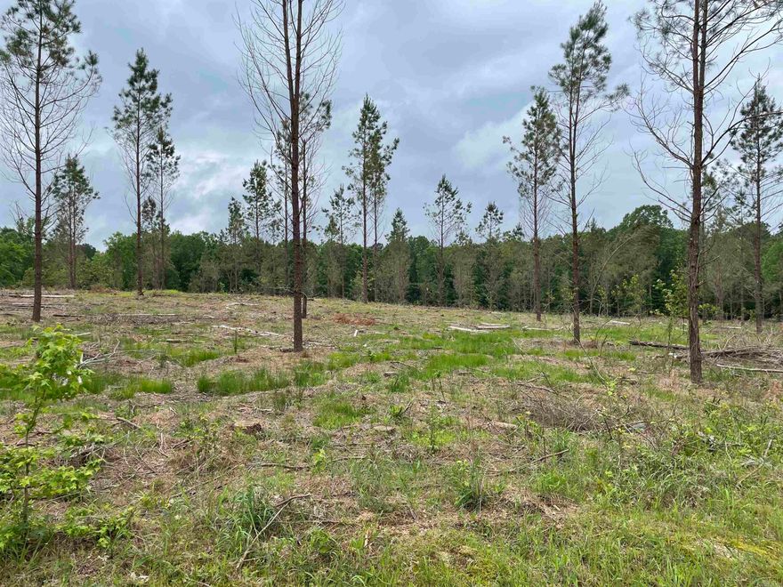 Perfect location out by the County Club*public water*paved road*private setting*barndominiums allowed*metal shops allowed*additional acreage available*Sheridan School District and located within 2 miles of the schools*an additional 5 acres can be purchased*map link is correct on this post*