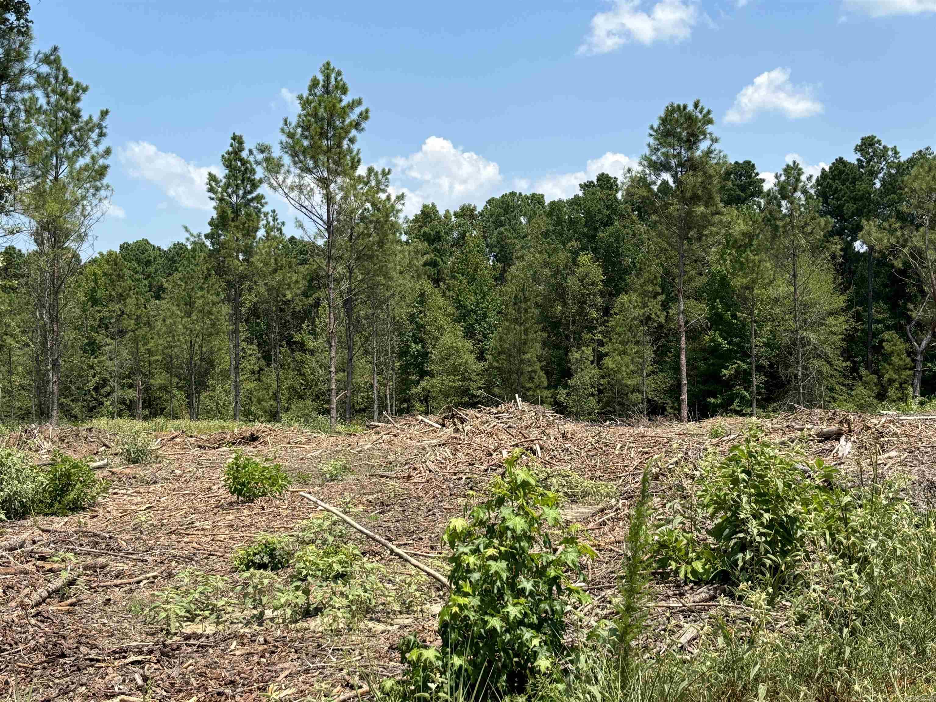 Don't miss out!**there are 6 tracts of land*this tract has access to a gravel road along its side and could be used if needed*under the MLS documents, you will find a drawing of the land and the restrictions*this is tract "B" on drawing*prelim perc available too From 270 West take Grant 43 (aka Country Club Road) and go about 1.5 miles. Property is on the left.