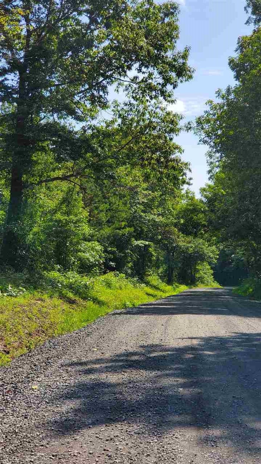 40 Acres of Prime Hunting land, big timber, semi cleared, Home place foundation laid out. Additional 40 acres across the road, Creek on  property. More Pictures to come.