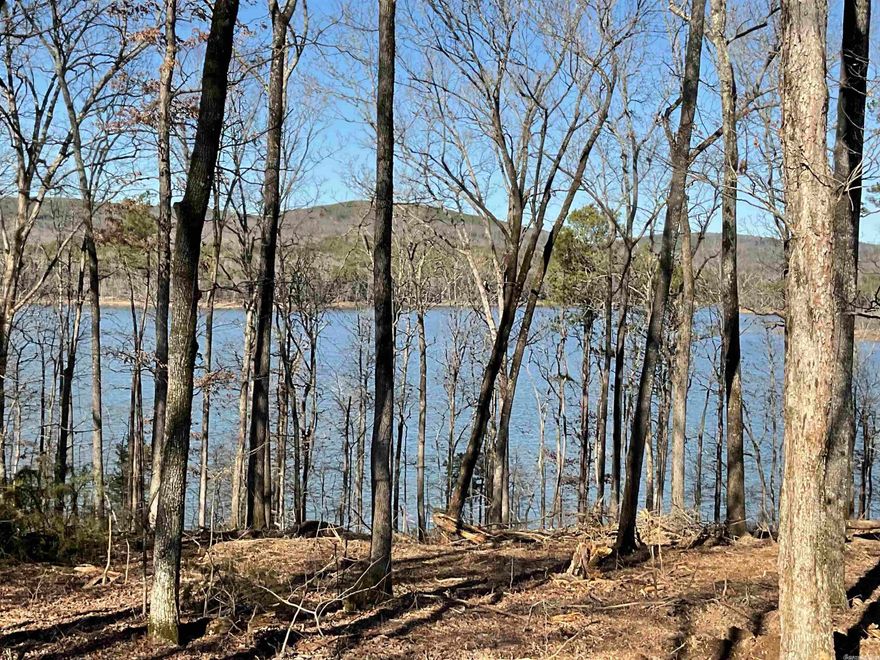 FIRST THREE LOTS TO BE SOLD FOR $200,000 FIRM THEN GO BACK TO ORIGINAL PRICE. CRYSTAL BROOKE SHORES HAS THE BEST LAKEFRONTAGE OFFERED IN OVER 30 YEARS. Every Lakefront lot is an acre or plus with 175 feet of lakefrontage. Every lakefront lot has incredible lake frontage, incredible open views, gentle slopes. No COE redline except for a very small area on Lots 13 & 14 (see plat) so build to the COE white line. TRUELY UNBELIEVABLE PARADISE. Located on the Devil's Fork part of the lake & you can see all the way down to the Edgemont Bridge. City water, blacktop roads to be installed, all lots to have septic system, (permit is provided). Off lake lots will have lake access & some of these have great views.  You must see Crystal Brooke Shores.