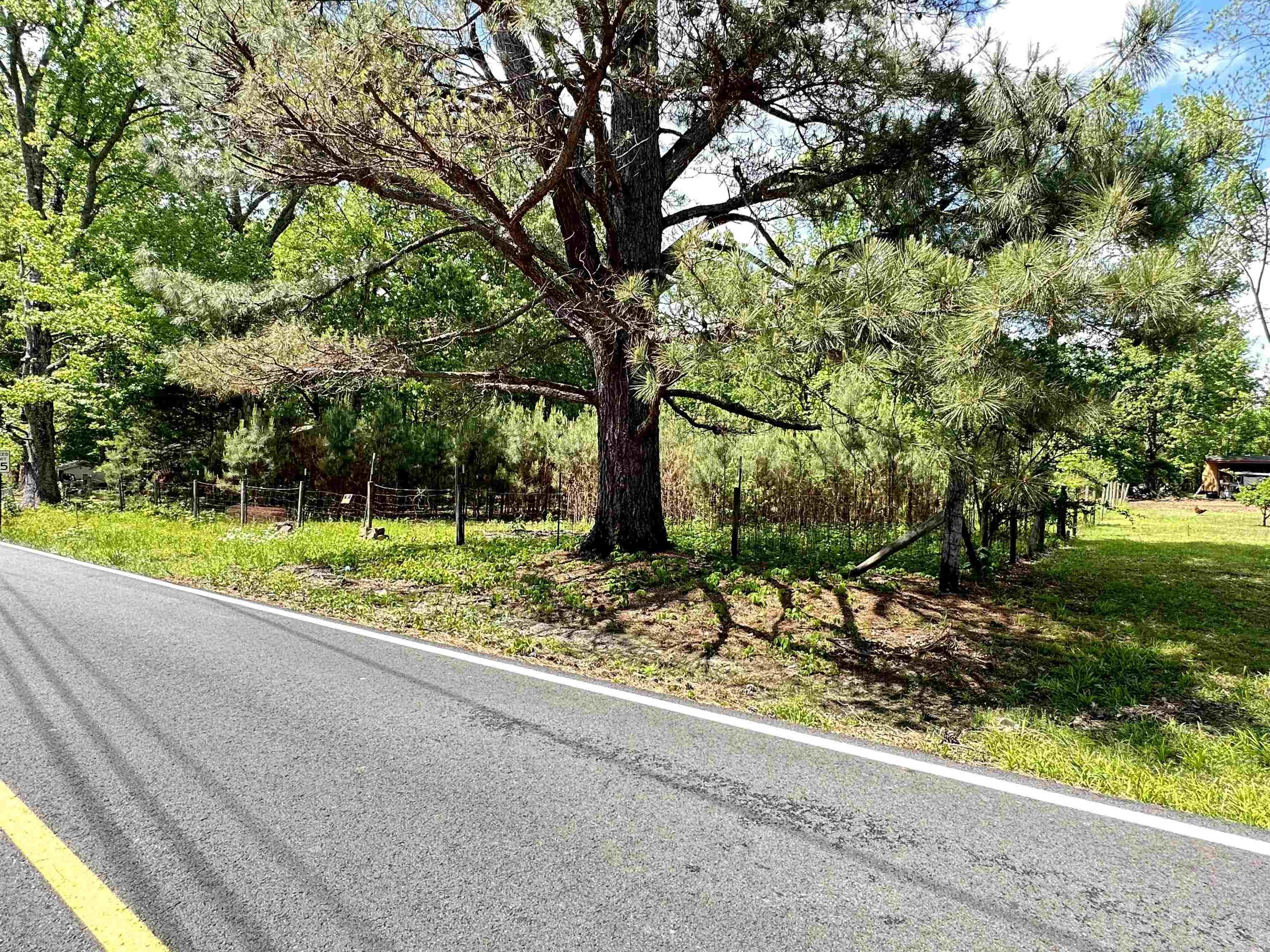 Woodiel Acres - Land