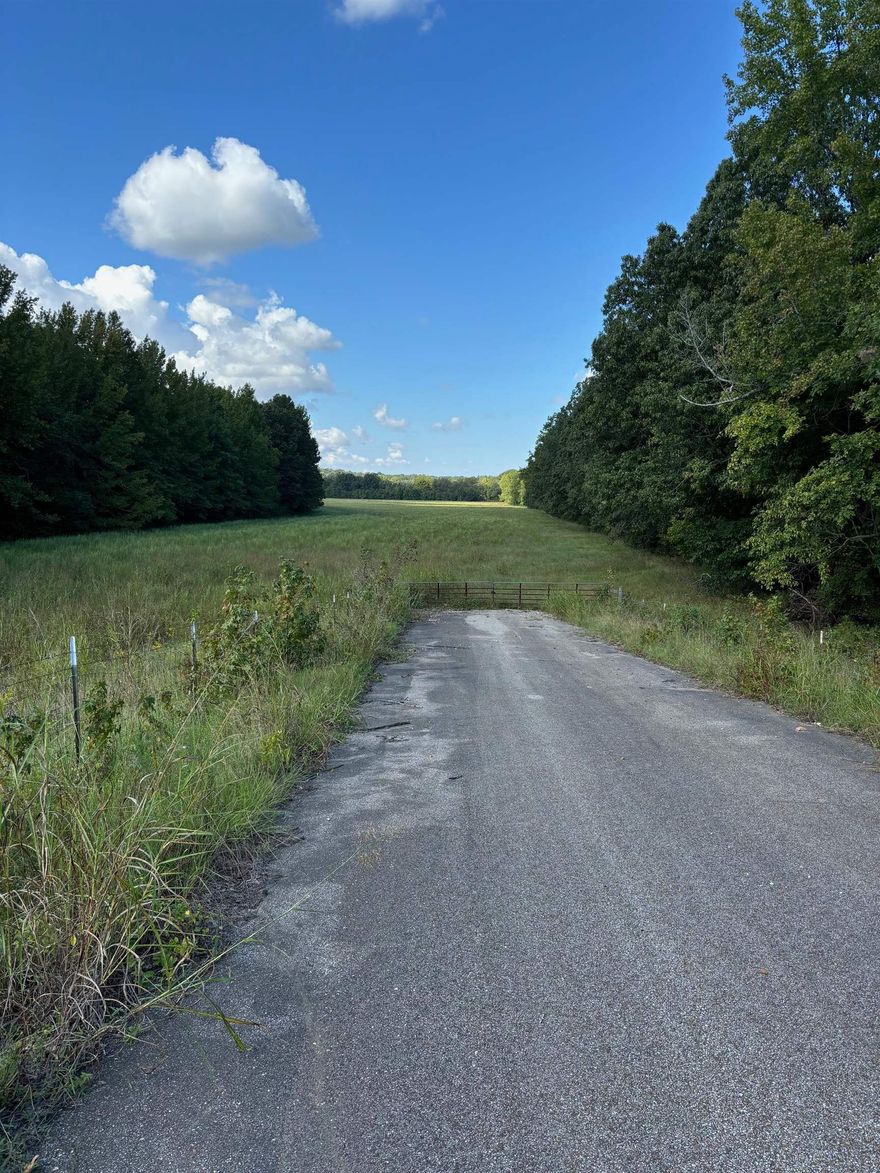 Welcome to your own slice of rural paradise! This expansive 45.85-acre property offers a unique opportunity for those seeking unrestricted land with endless possibilities. Perfectly suited for livestock, this fertile pasture land provides ample grazing space for cattle, horses, or any other livestock you desire. This land also has Hay for baling, providing additional income potential or self-sufficiency