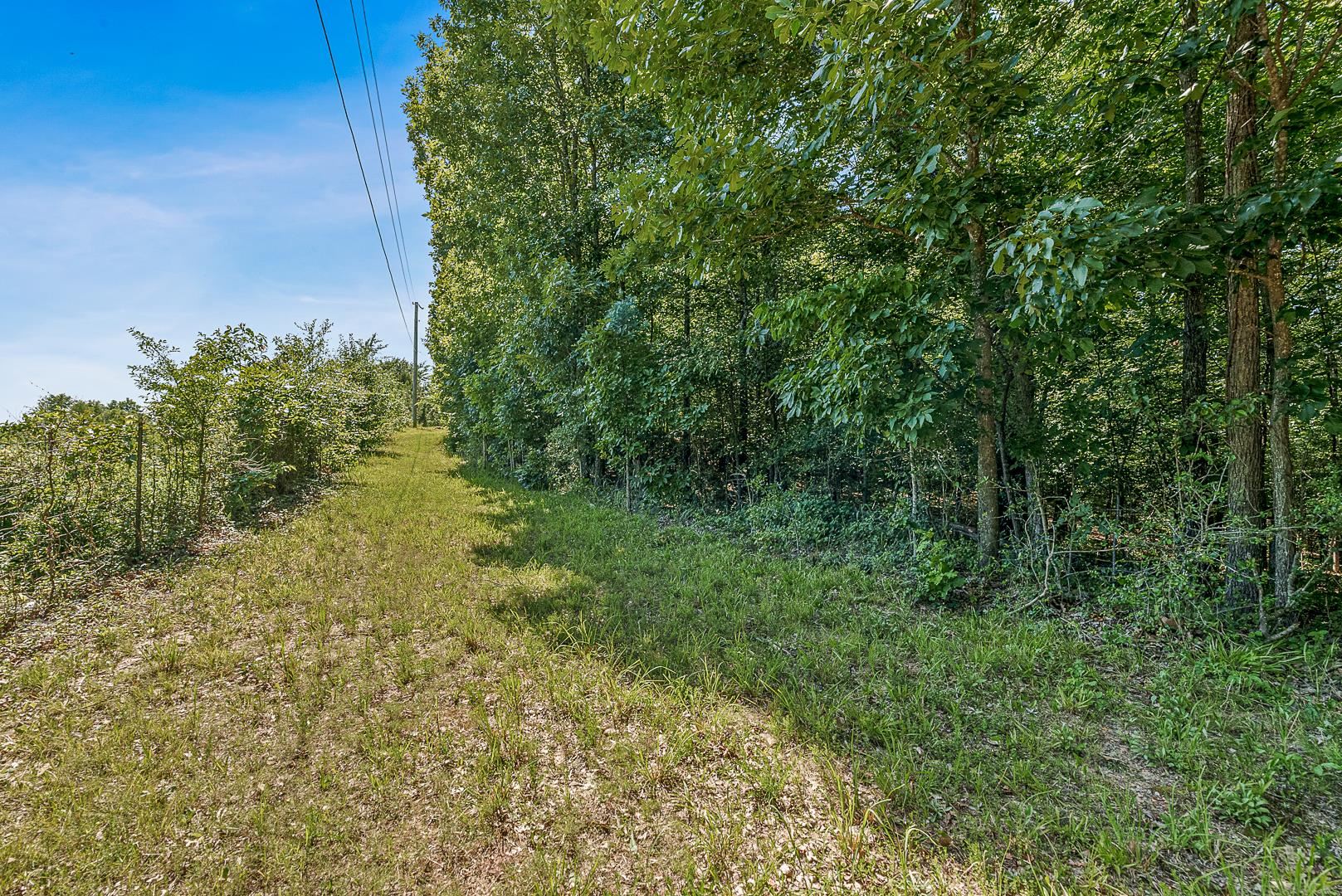 Build the estate of your dreams on what is arguably the most beautiful lane and meadow remaining with South Culberhouse frontage. The beautiful, wooded lane offers privacy as it leads back off the road to a dreamy, cleared meadow with room for 2 or 3 structures. It's located in Valley View School District with just a short drive to campus! Interior Designer Edith Snell created renderings of how the property might be laid out for future use. The 4.9 acre lot presents an exceptional opportunity to build your home of a lifetime.