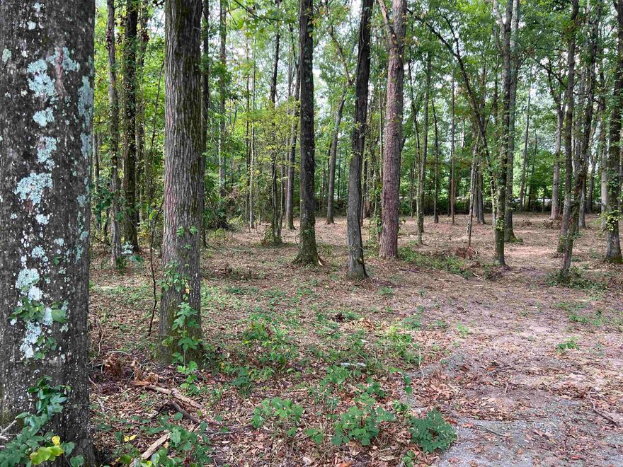 Beautiful acreage with large shade trees perfect for your new construction or mobile home.