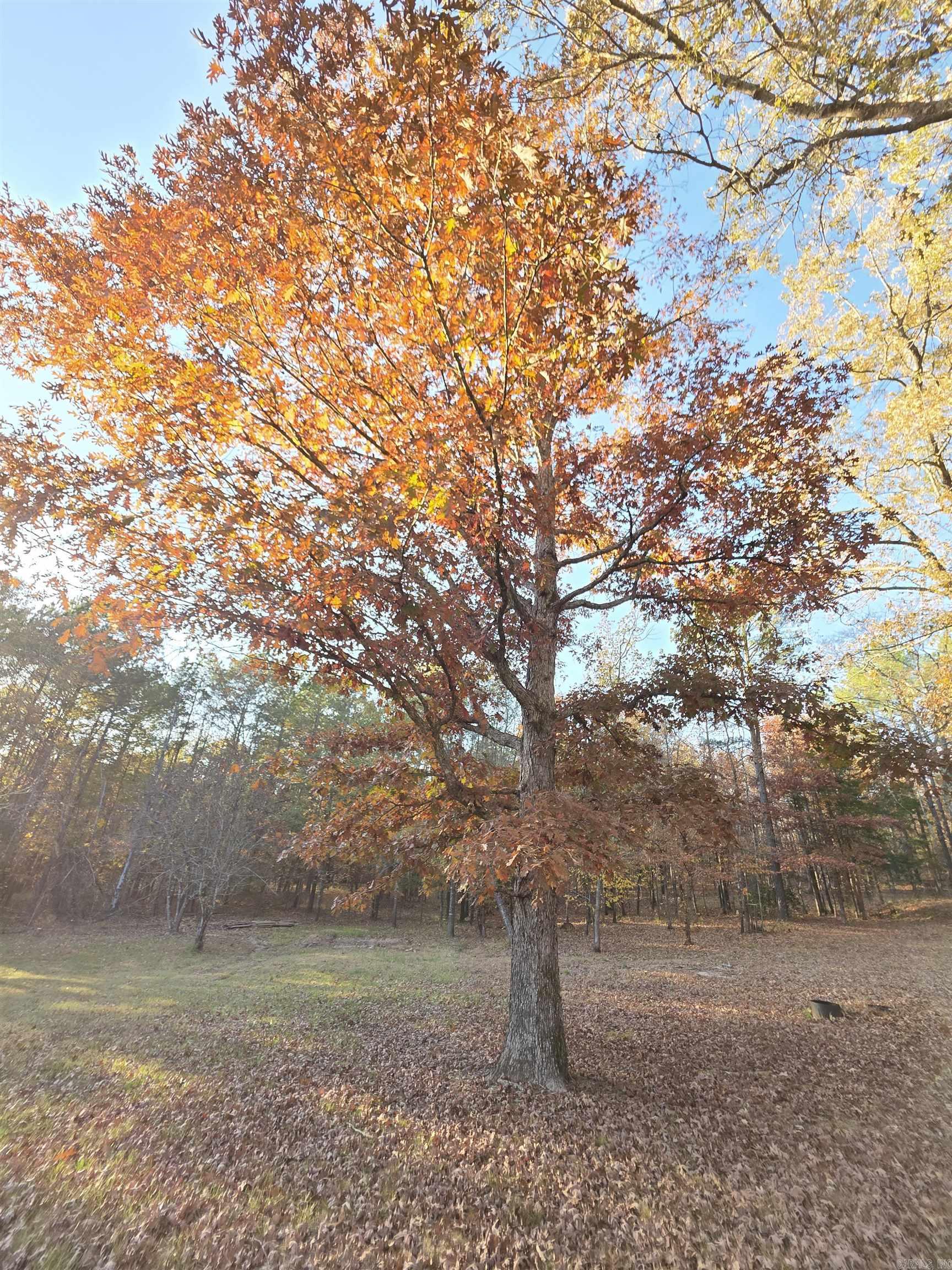 CITY OF GLENWOOD - Residential