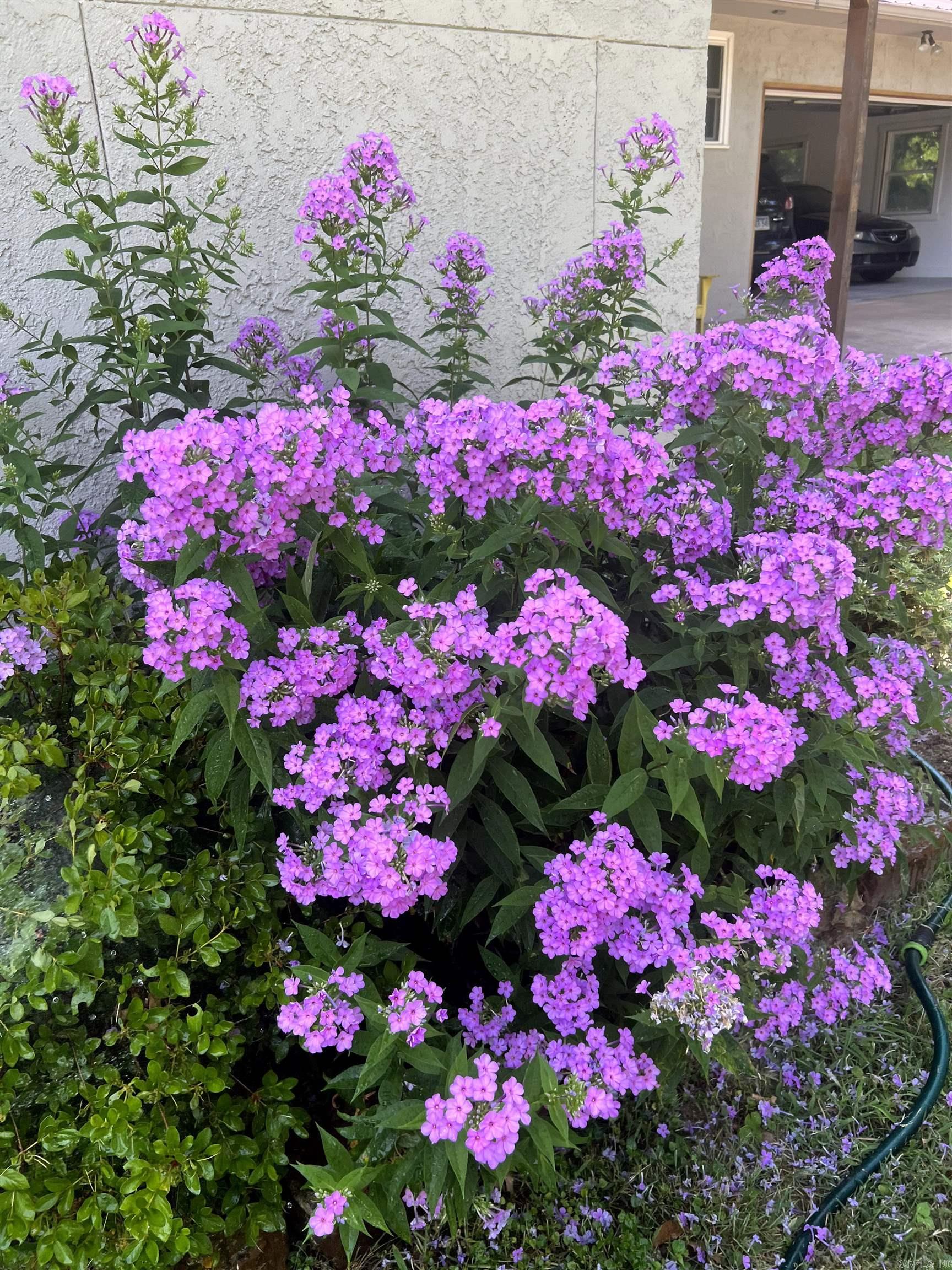 COLONY WEST ADDN - Residential