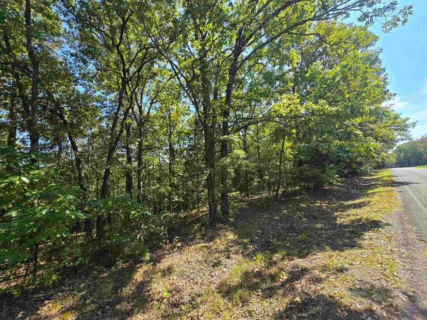 Discover the perfect opportunity to create your dream home or weekend getaway in the charming Ozark lake town of Fairfield Bay, Arkansas. This residential lot provides plenty of space to design and build the home you've always envisioned. Situated just minutes away from the Fairfield Bay Marina and Greers Ferry Lake, you'll have access to endless water-based activities such as boating, fishing, swimming, Fairfield Bay also offers 3 communities pools, mini golf, bowling, restaurants, hundred miles of ATV & hiking/biking trails and so much more Embrace the tranquil atmosphere and breathtaking natural beauty of the Ozarks as you design you forever home or plan your weekend retreat. Don't miss out on the chance to be part of this lake town community, where the beauty of nature merges seamlessly with modern amenities and a relaxed lifestyle. Possible Owner finance