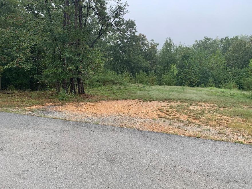 Flat building site for house, engineering foundation report, 250' of road frontage on semi-private county asphalt road.  All utilities (Salem Water Assoc., 1st Eletric) are nearby, fast dependable, inexpensive WiFi.  Area is wooded with abundant wild life. Goods and services within 2 miles mid-way between Hot Springs and Little Rock There is a well on-site and could be used for primary water source