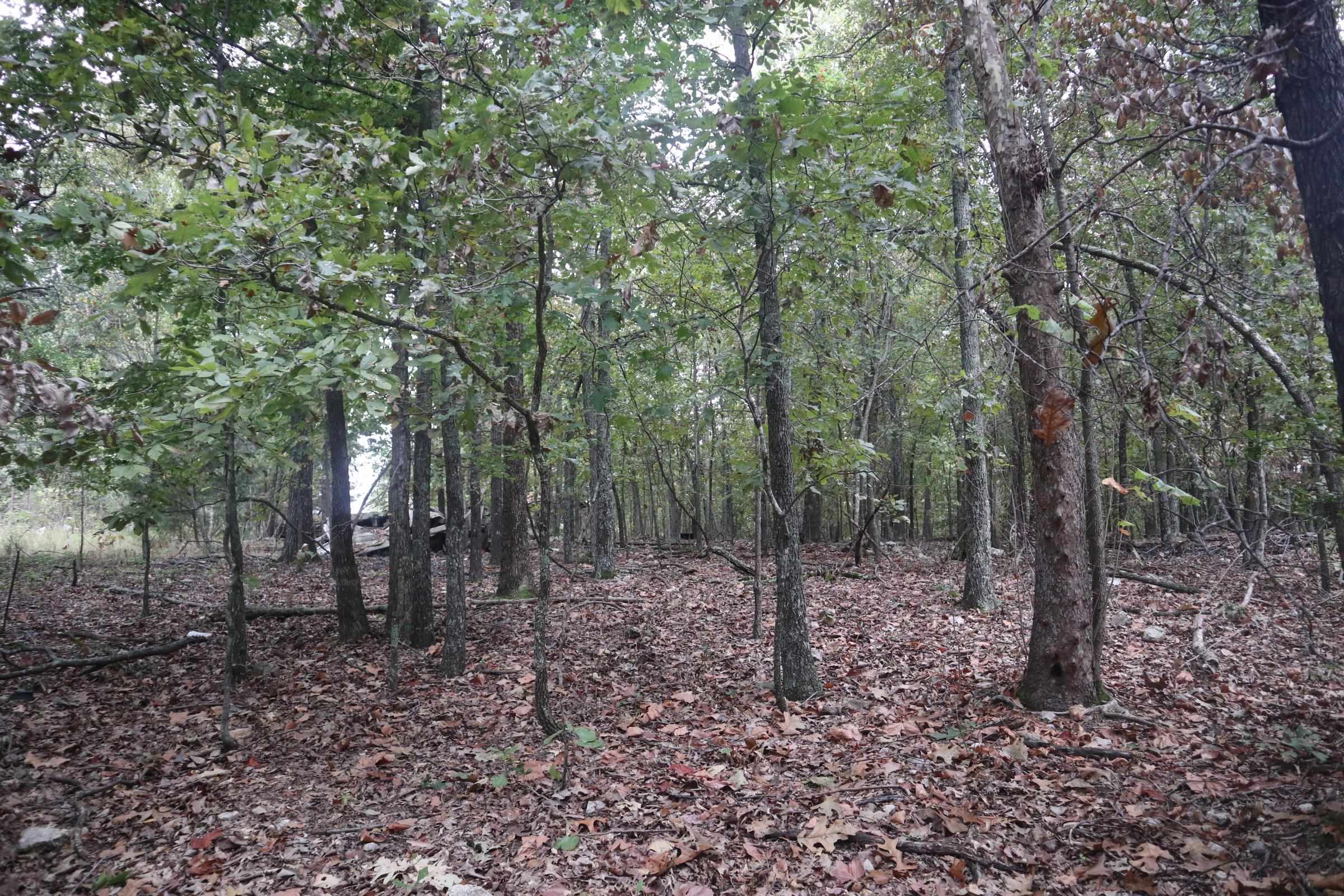 Metes & Bounds - Land