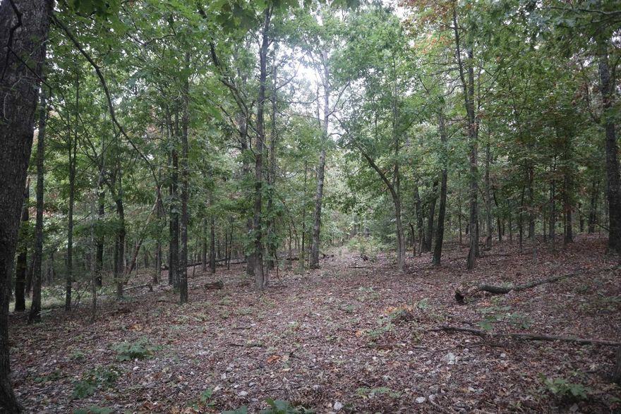 OZARKS REAL ESTATE WITH BUILDING SITES FOR SALE NEAR SALEM AR  ?Property is located at 3958 Young Rd, Salem, AR. This 20 acre wooded tract is just a few minutes from Salem. The property has county road frontage with a well, rural water and electricity on site. High speed fiber internet service is also available. There is a concrete slab from a previous dwelling located on the property. Several good building sites available for your new home or cabin. Great hunting property with an abundance of wildlife including deer. Most of the property is wooded with several mature oaks. Located within 30-45 minutes of Lake Norfork, Spring River and the world famous White River. Real estate taxes last year were $64.32. Make your move to the Ozarks and enjoy all this property has to offer.