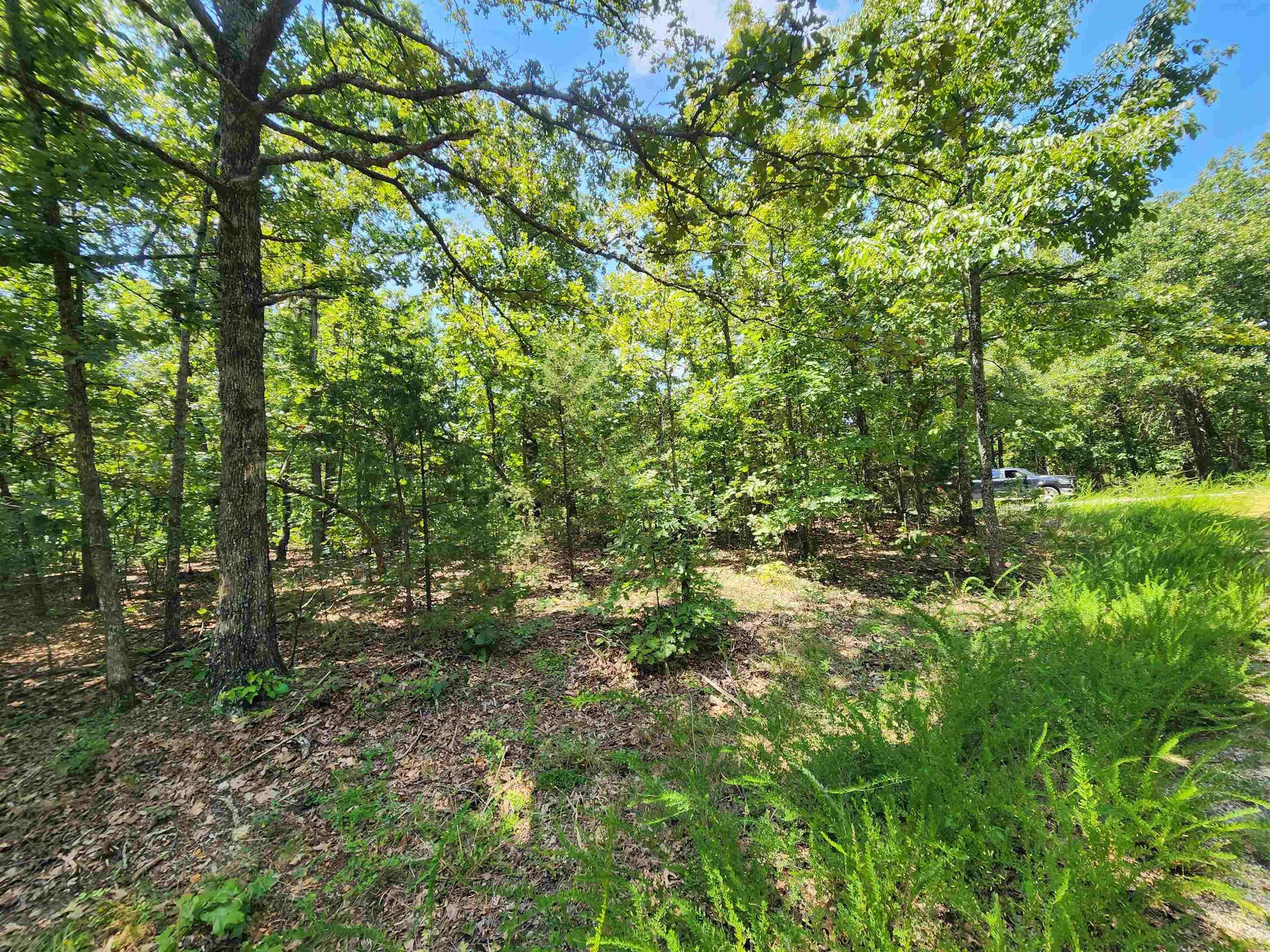 3 wooded lots side by side by side. Secluded property on the Northwest side of the Village. One corner lot and two adjacent lots. For a total of nearly a full acre of land to build your dream home on. Come pick out your building spot. House, Cabin, vacation home, it's all possible. Not another house in site of the wonderful property. It feels like your in the middle of a forest but your only moments away from Cherokee Rd. one of the main roads in Cherokee Village. Dont forget that ownership of this property gives you access to all of the Cherokee Village amenities, like two 18-hole golf courses, 7 different lakes, and the beautiful Southfork River.