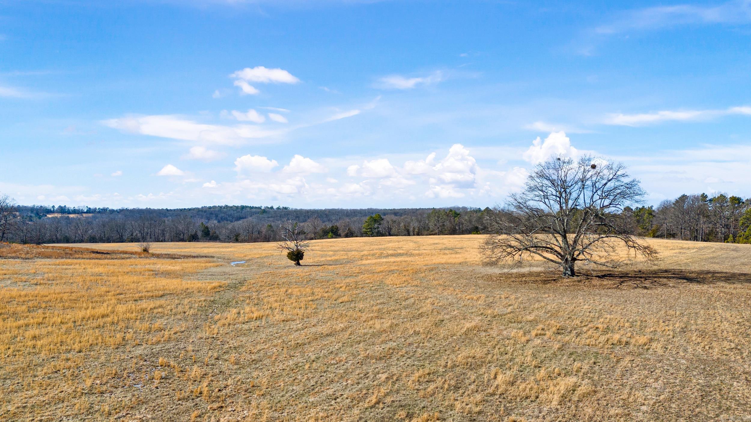 ARKANSAS HGTS - Residential