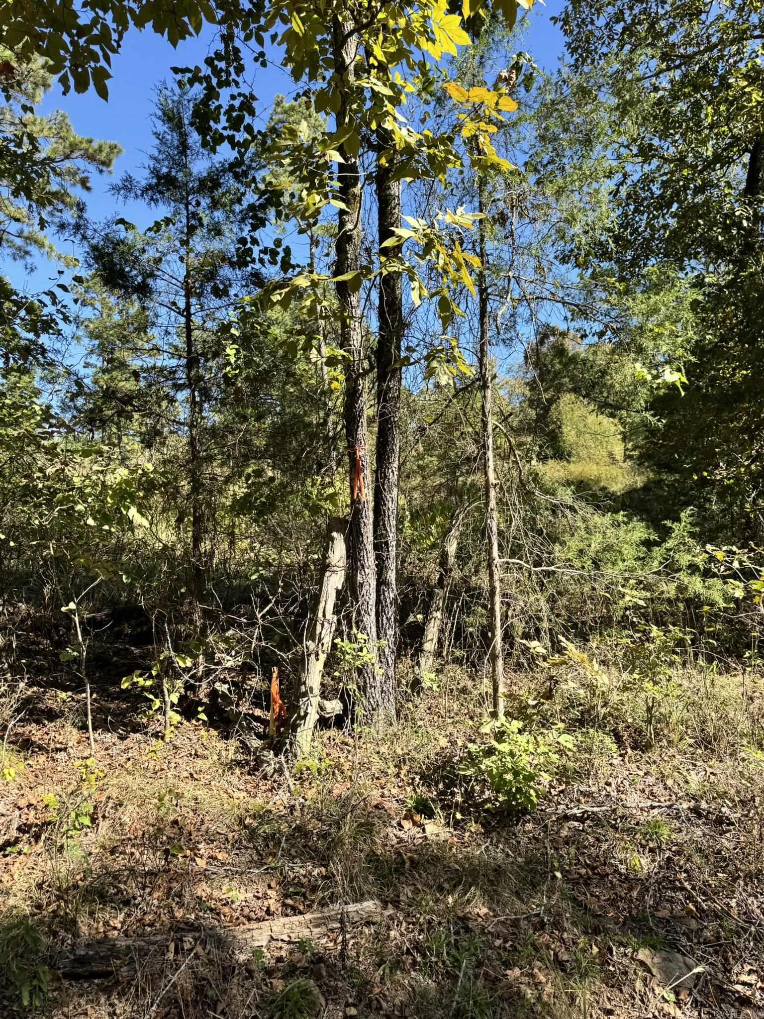 Metes & Bounds - Land